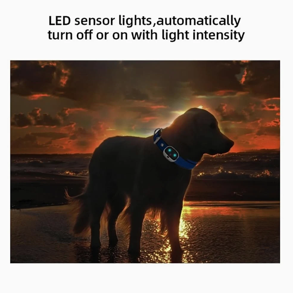 GPS Dog Tracker, collare intelligente ricaricabile per animali domestici con tracciamento e luci LED, sistema di contenimento per animali domestici per Corgi e Shiba Inu, dati sportivi e allarme