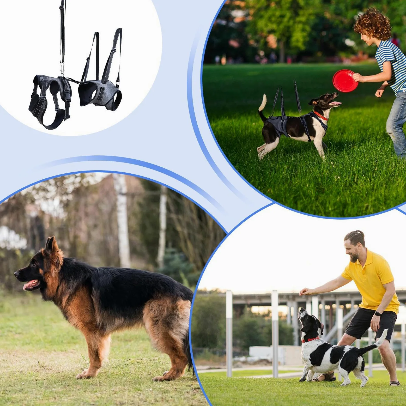 Imbracatura di sollevamento Pettorina Regolabile Trasporto | Maniglie Sollevatore Per Cani Riabilitazione Addestramento Uscite Veterinario Scale