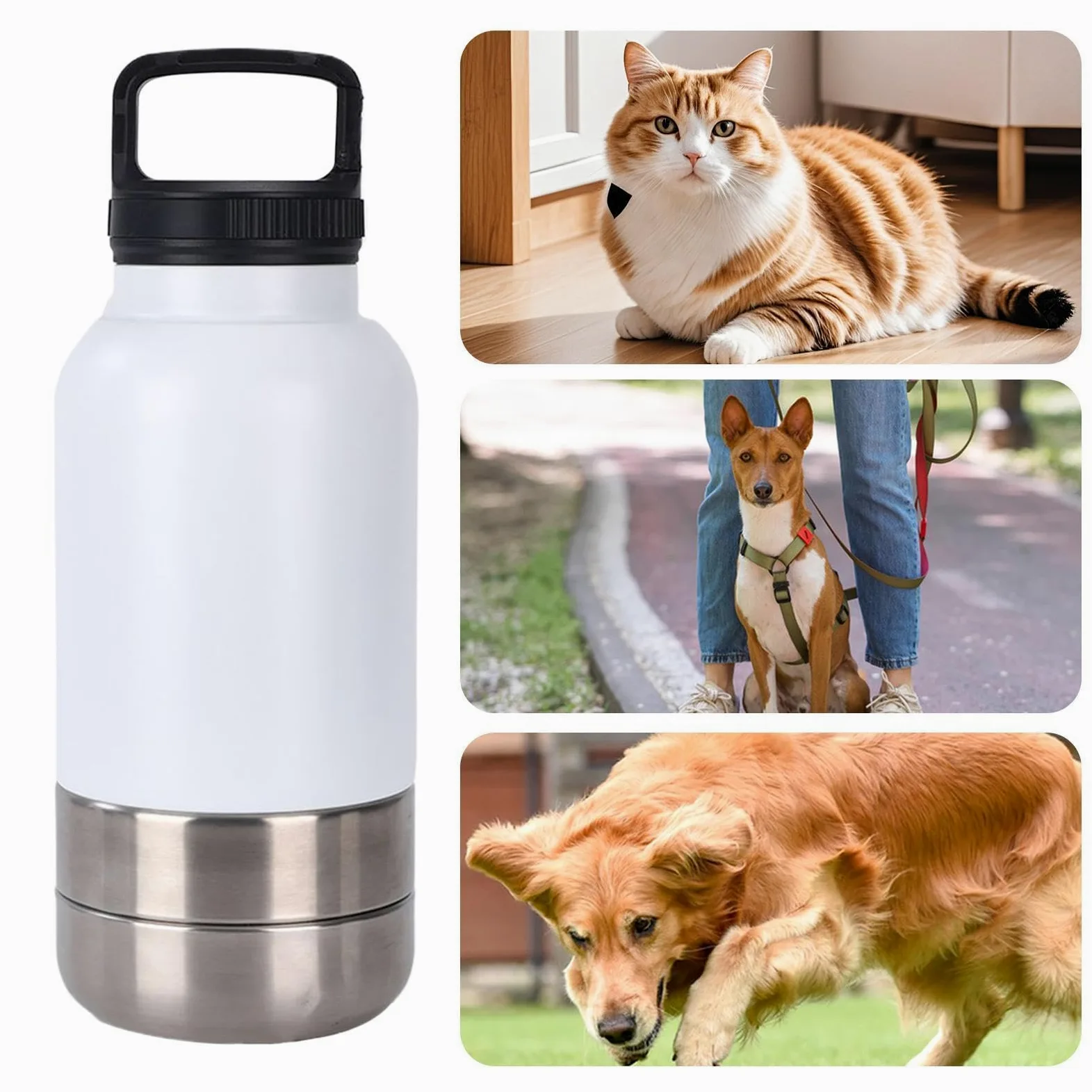 Borraccia Da Viaggio Cani Dispenser D'Acqua Portatile Da 1,52 L Per Cani | Borraccia In Acciaio Inossidabile Da Cuccioli Per Escursioni Campeggio Picnic All'Aperto Passeggiate Dormitorio Appartame