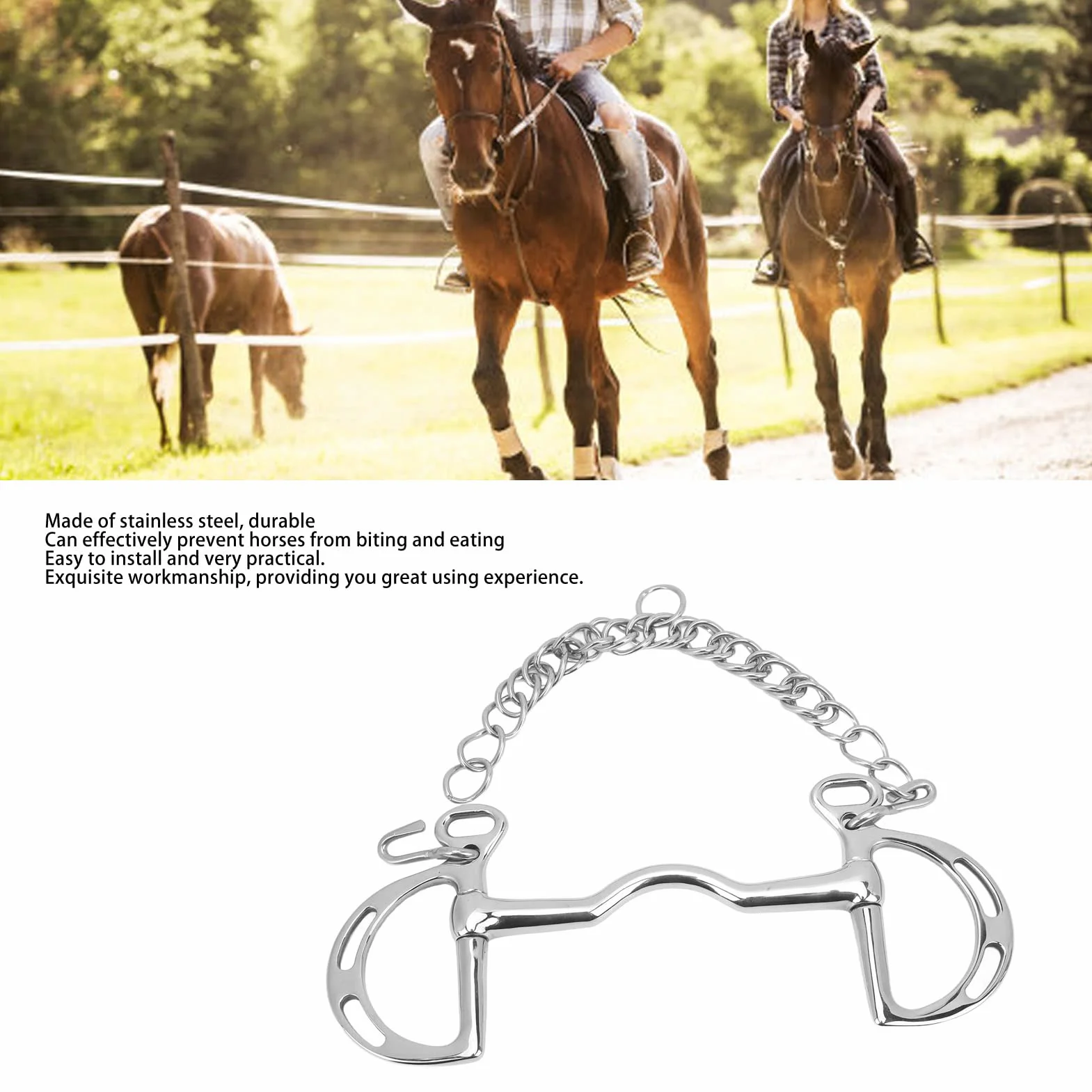 BestAlice Filetto per Cavallo, Morso per Cavallo in Acciaio Inossidabile Filetto per Cavallo da Masticare, Anello a D Filetto per Cavallo in Acciaio Inossidabile Filetto per Bocca di Cavallo con Caten