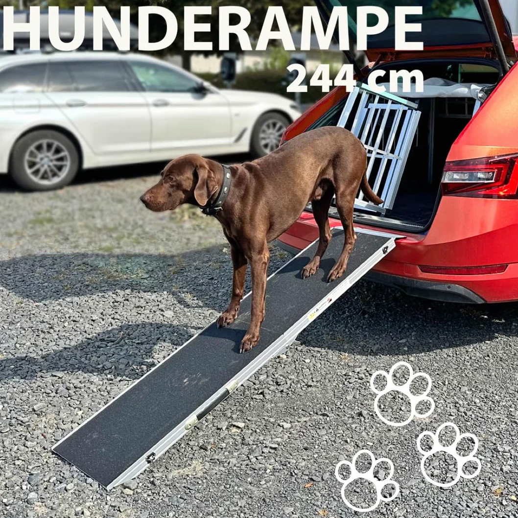 Petigi Rampa per Cani Animale Pieghevole Auto Casa 244 cm
