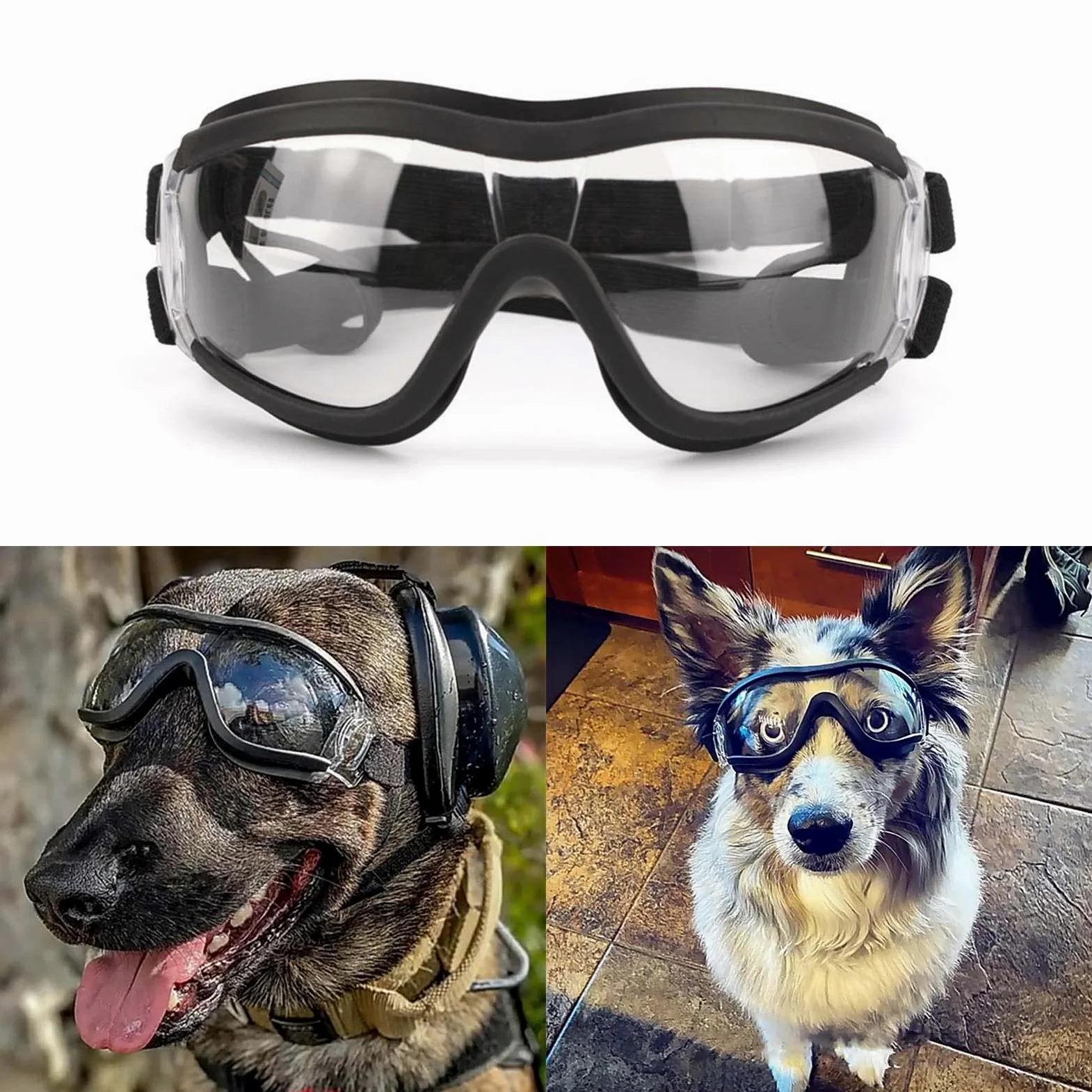 Occhiali da sole trasparenti antivento per cani di piccola taglia con cinturino elastico per cani lunghi