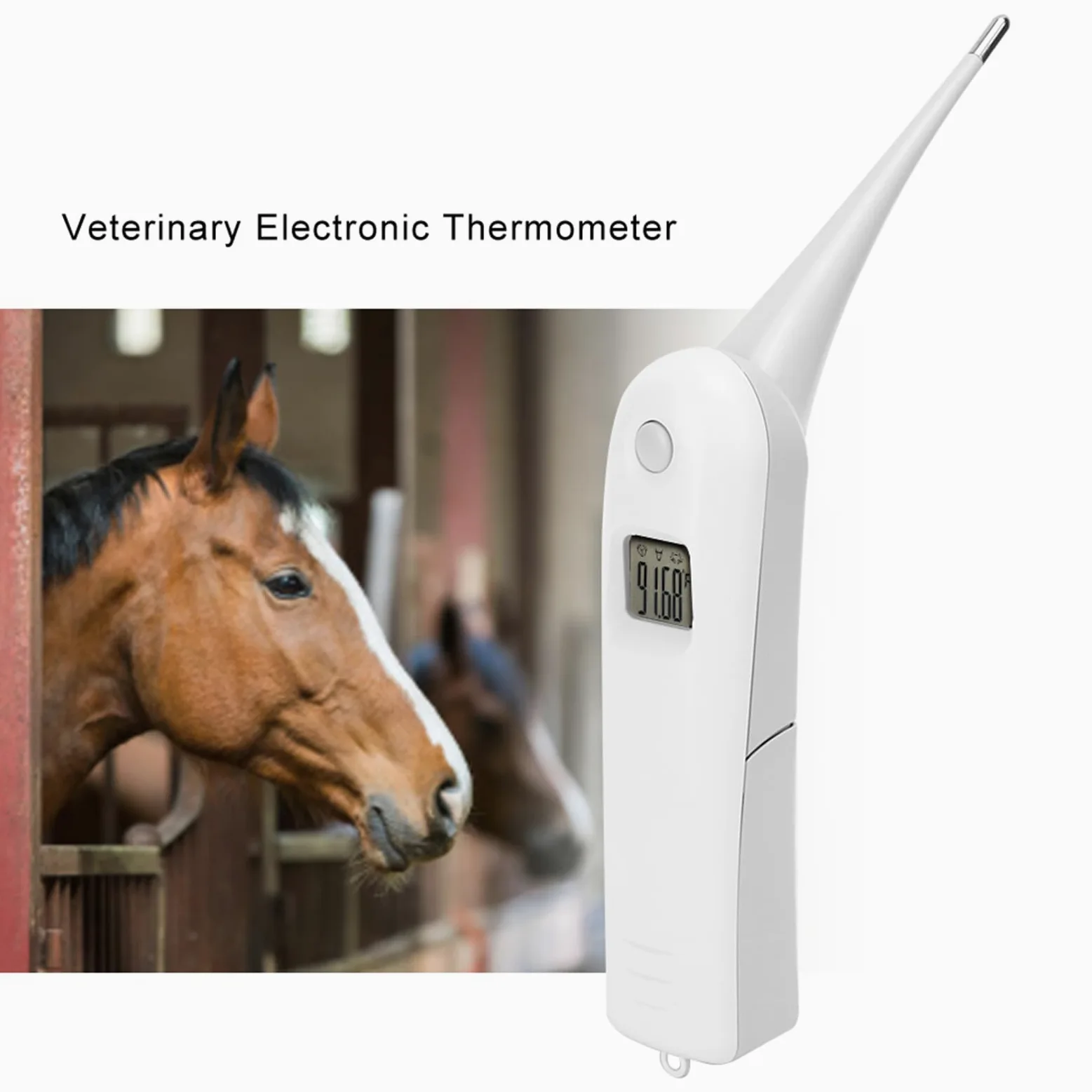 Termometro Elettronico per Maiali Bovini da Pecora, Termometro per Cani da Compagnia Termometro per Ano Termometro Veterinario Digitale Veloce Tester di Temperatura per Bestiame