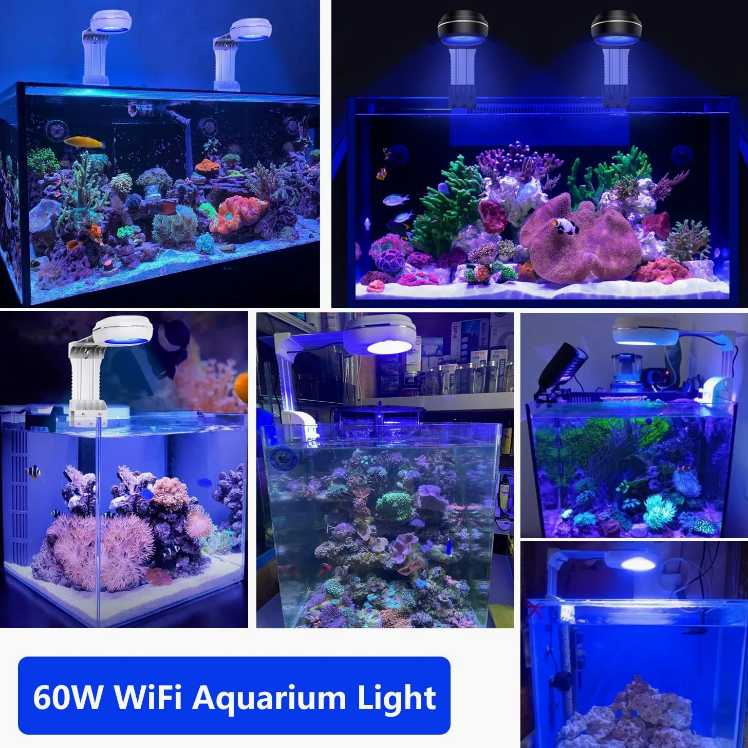 PopBloom RL60 Acquario LED Reef Light, Smart-APP controlla spettro completo LED marino per acquari di corallo di acqua salata