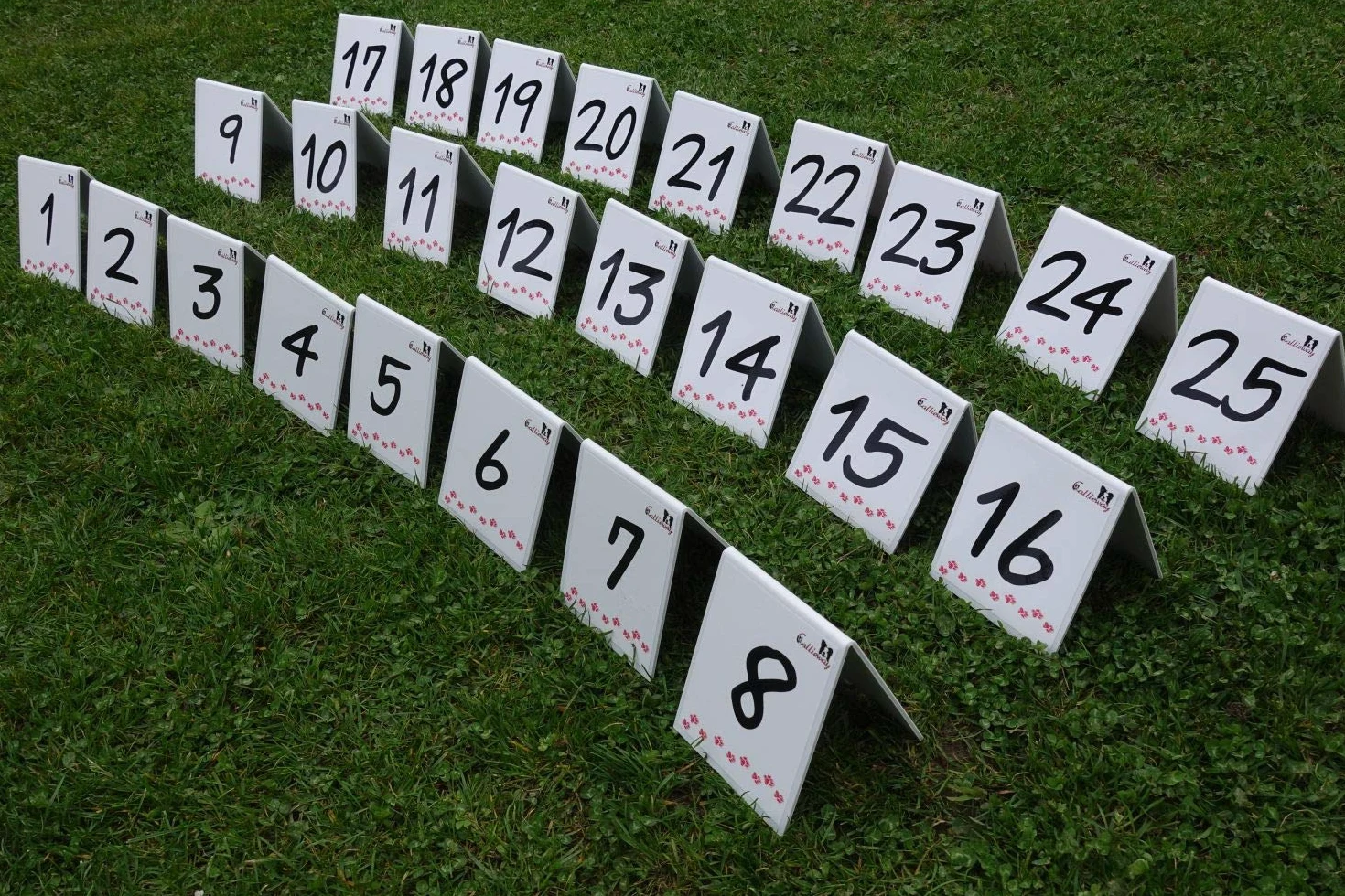 Numeri di parcours/numeri Rally Obedience – Set/Targhe – Set numerato 1 – 25