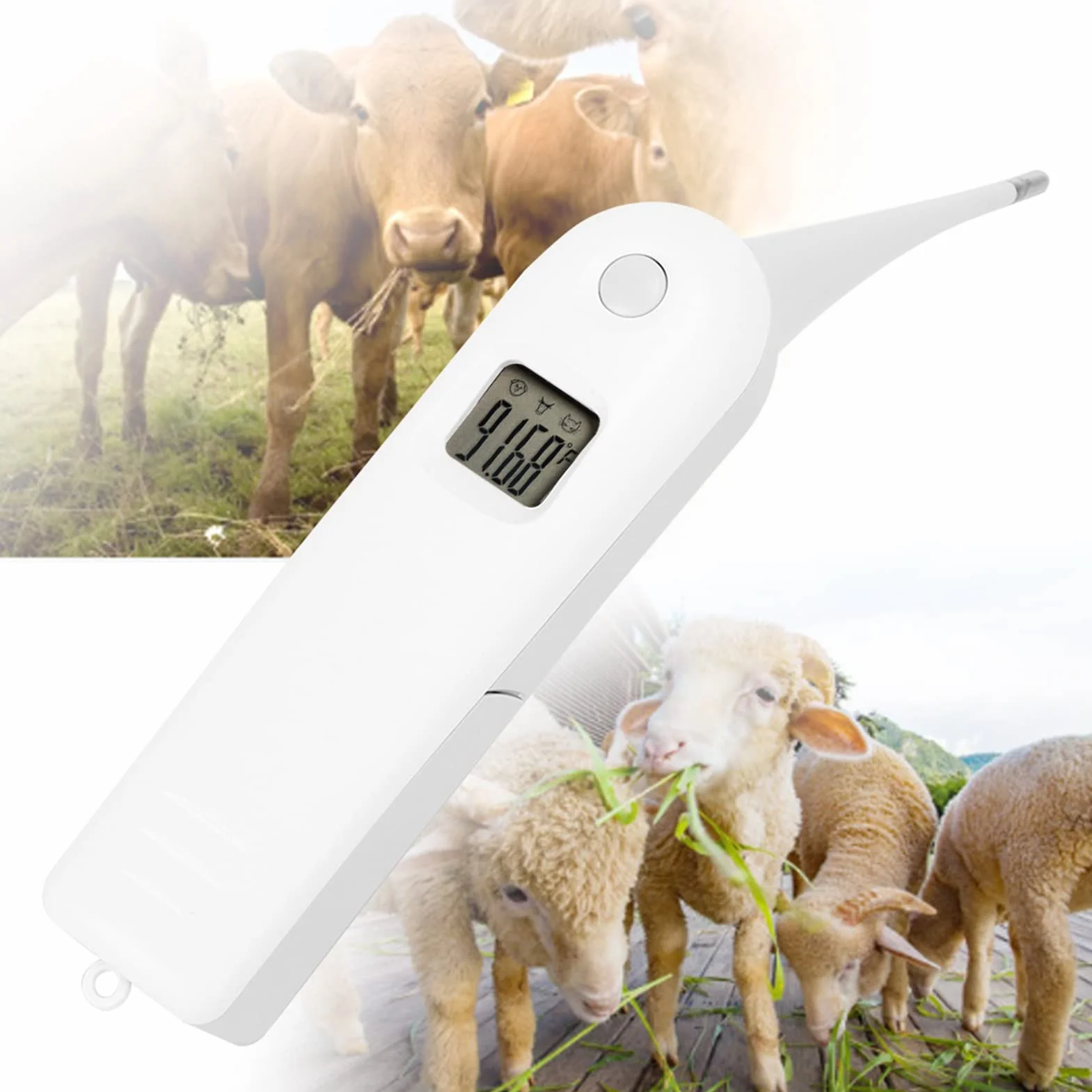Termometro Elettronico per Maiali Bovini da Pecora, Termometro per Cani da Compagnia Termometro per Ano Termometro Veterinario Digitale Veloce Tester di Temperatura per Bestiame