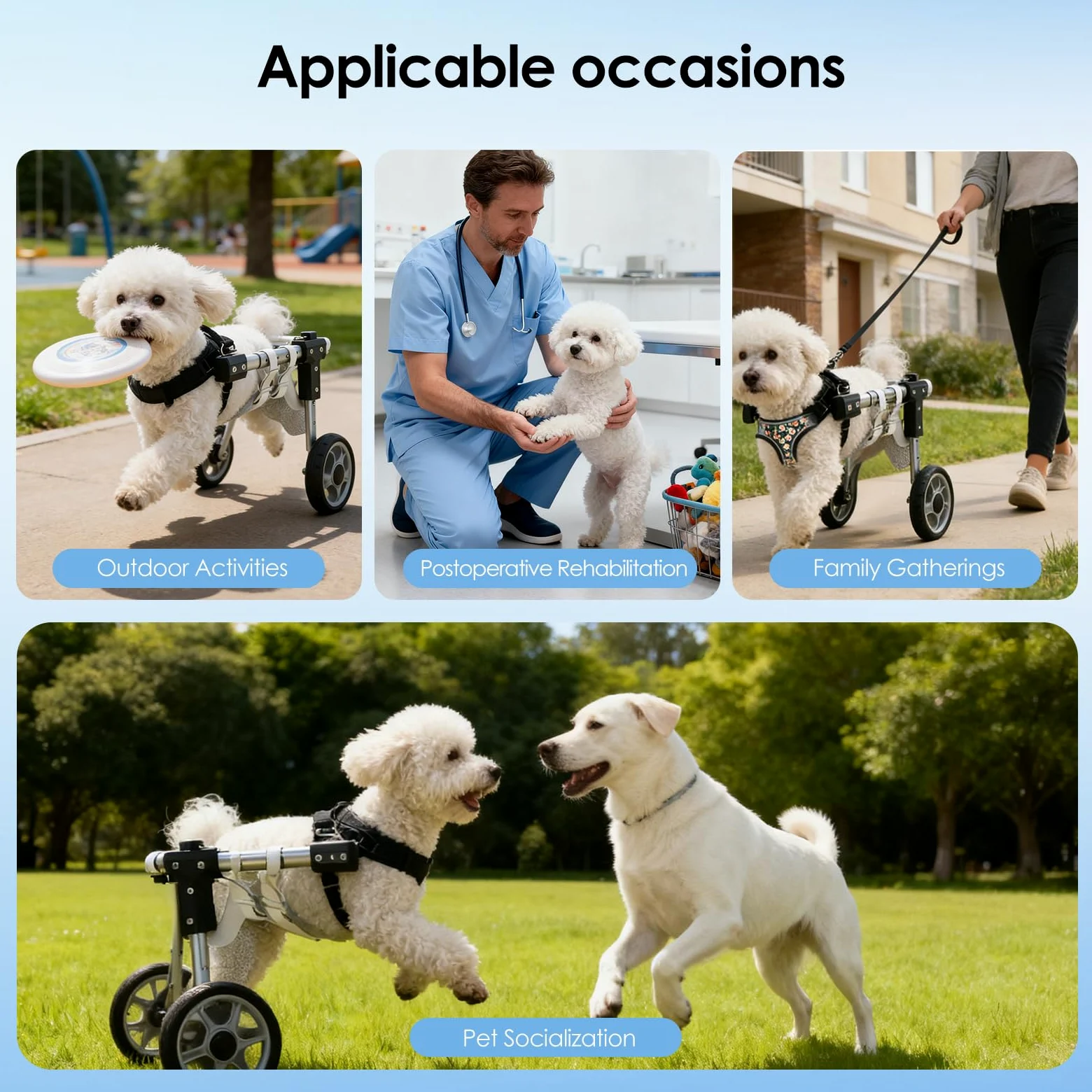 Sedia a rotelle per cani per gambe posteriori, carrello regolabile per riabilitazione a 2 ruote, in alluminio e rete di nylon, con custodia e corda per animali domestici paralizzati