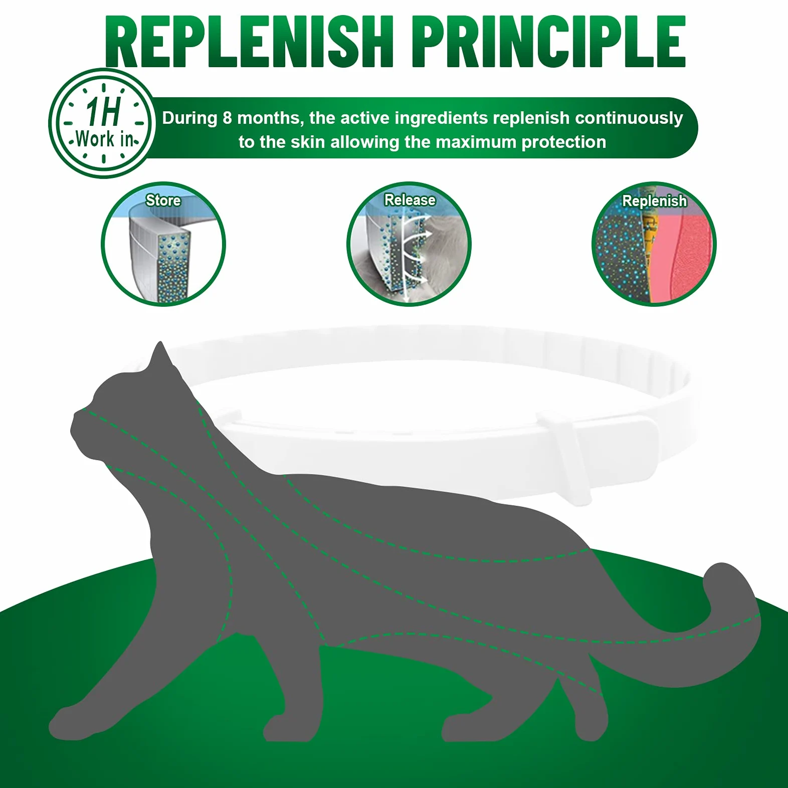 Collare Antiparassitario per Gatti, Collare Antipulci per Gatti Impermeabile Regolabile Naturale con Protezione di 8 Mesi, Si Illumina al Buio, Soluzione Sicuro Contro i Parassiti per Gatto