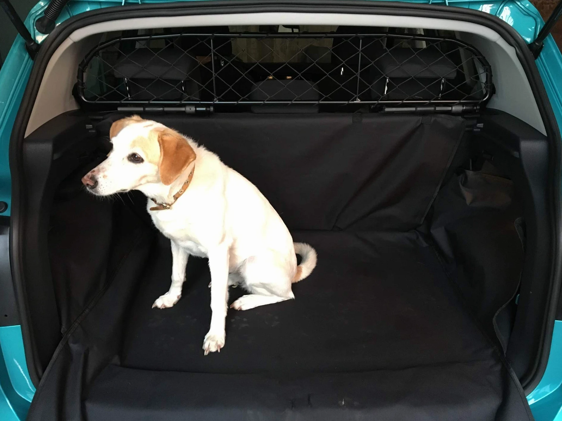 ERGOTECH Divisorio Griglia Rete Divisoria per Volkswagen T-Cross, RDA65-HXXS16, Trasporto Cani e Bagagli