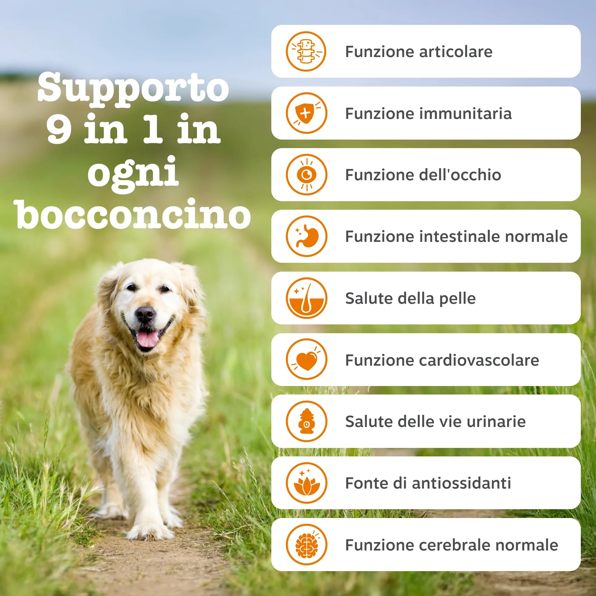 Zesty Paws 9-in-1 Senior Multivitamin – Supports Joints, Vision, Heart and Cognitive Function – Immune System and Urinary Tract Support – With Biotin and Vitamins A, B 3, B5, B6, B9, C – 90 Bocconcini