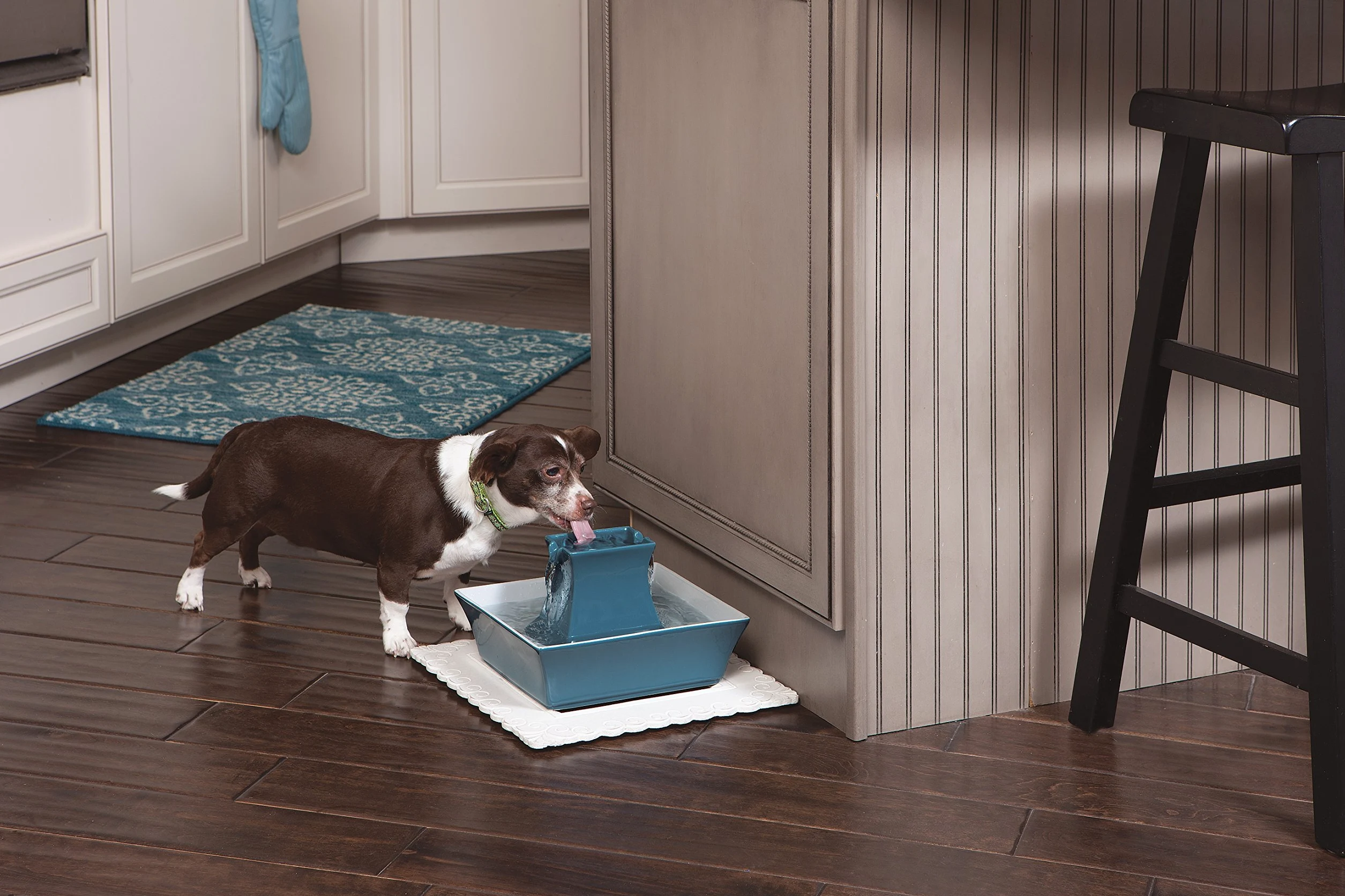 PetSafe Drinkwell Pagoda - Fontana per Bere per Cani e Gatti in Ceramica, Design Minimalista per Uso Domestico e Capacità di 2 Litri - Blu