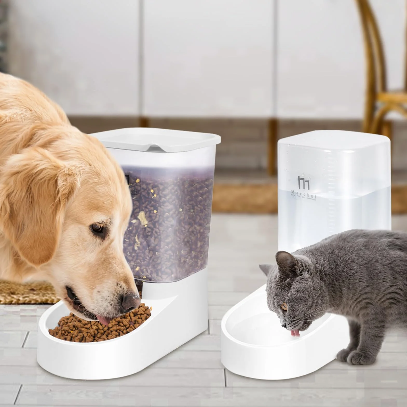 Marchul Dosatore di cibo e acqua per Gatti, Cani, Automatico, Dispenser di Crocchette e Acqua per Animali Domestici (3.8L + Cuscinetto in silicone)