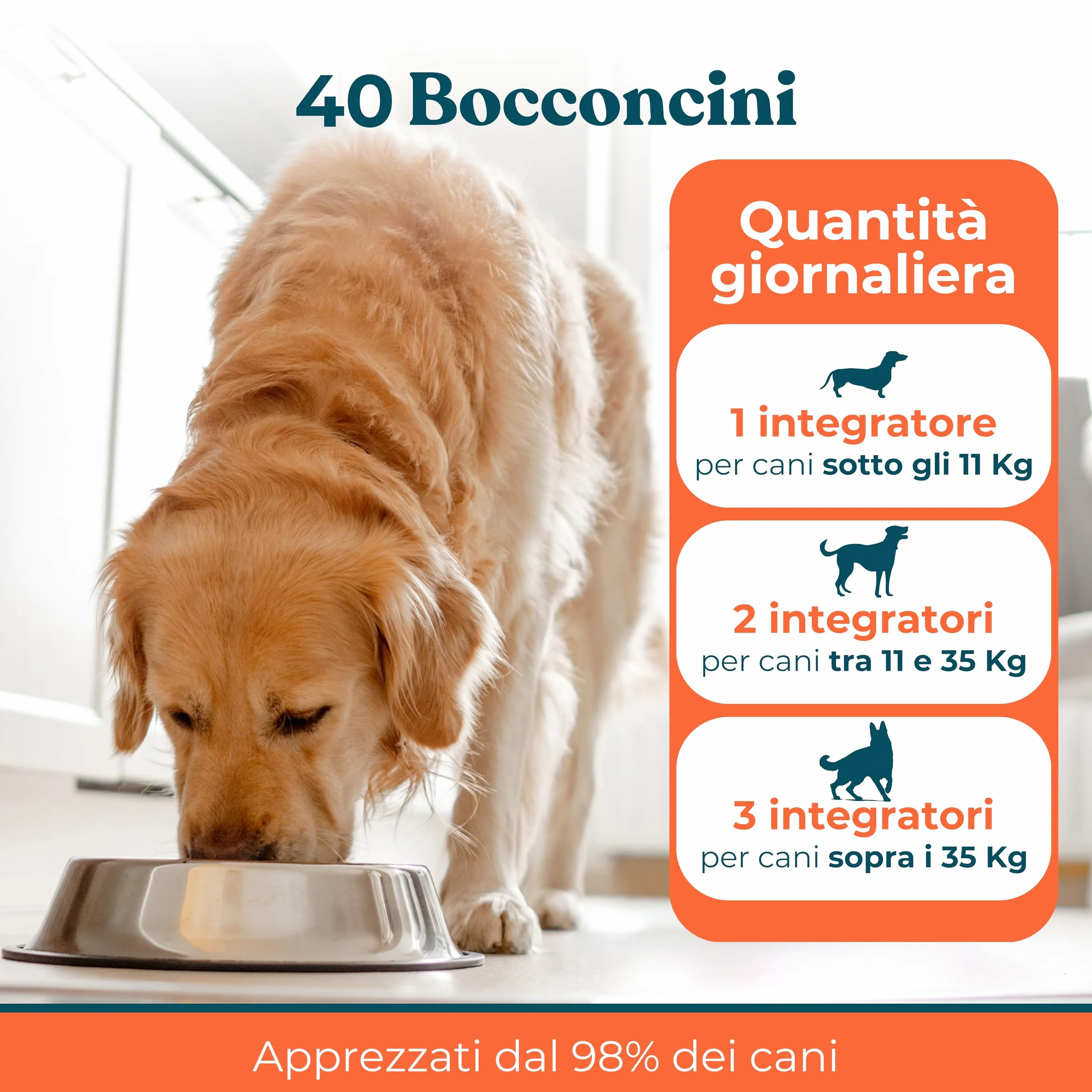 Integratori per Cani Ossa e Articolazioni Gusto Manzo - Integratore Articolazioni Cane per Favorire Lo Sviluppo o Mantenere la Mobilità