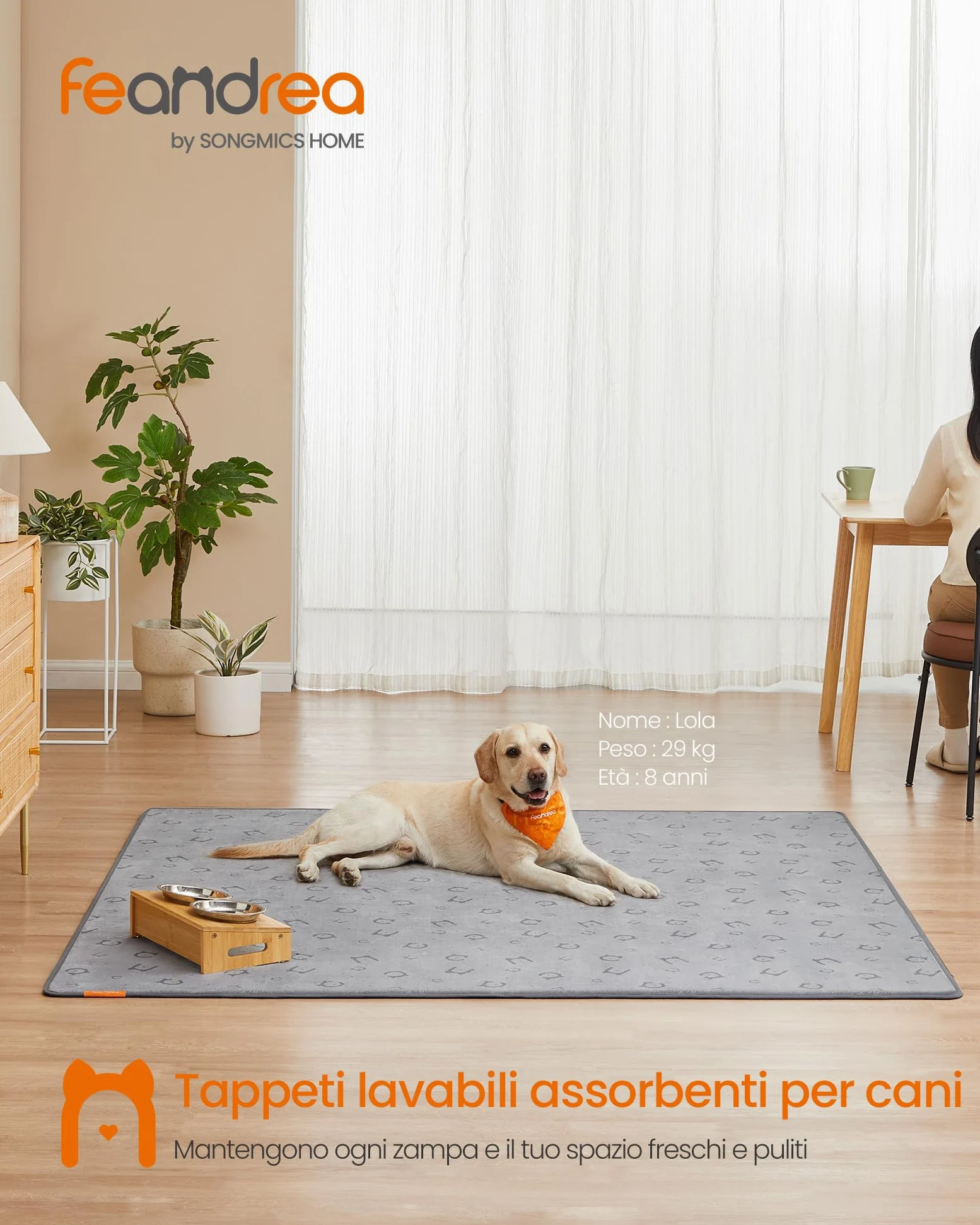 Feandrea Tappeti per Addestramento per Cani Riutilizzabili, 2 Pezzi, Lavabili, 183 x 183 cm, XXXL, Impermeabili, Antiscivolo, Assorbenti, Cani, Gatti, Conigli, Grigio Tortora PTD005G01