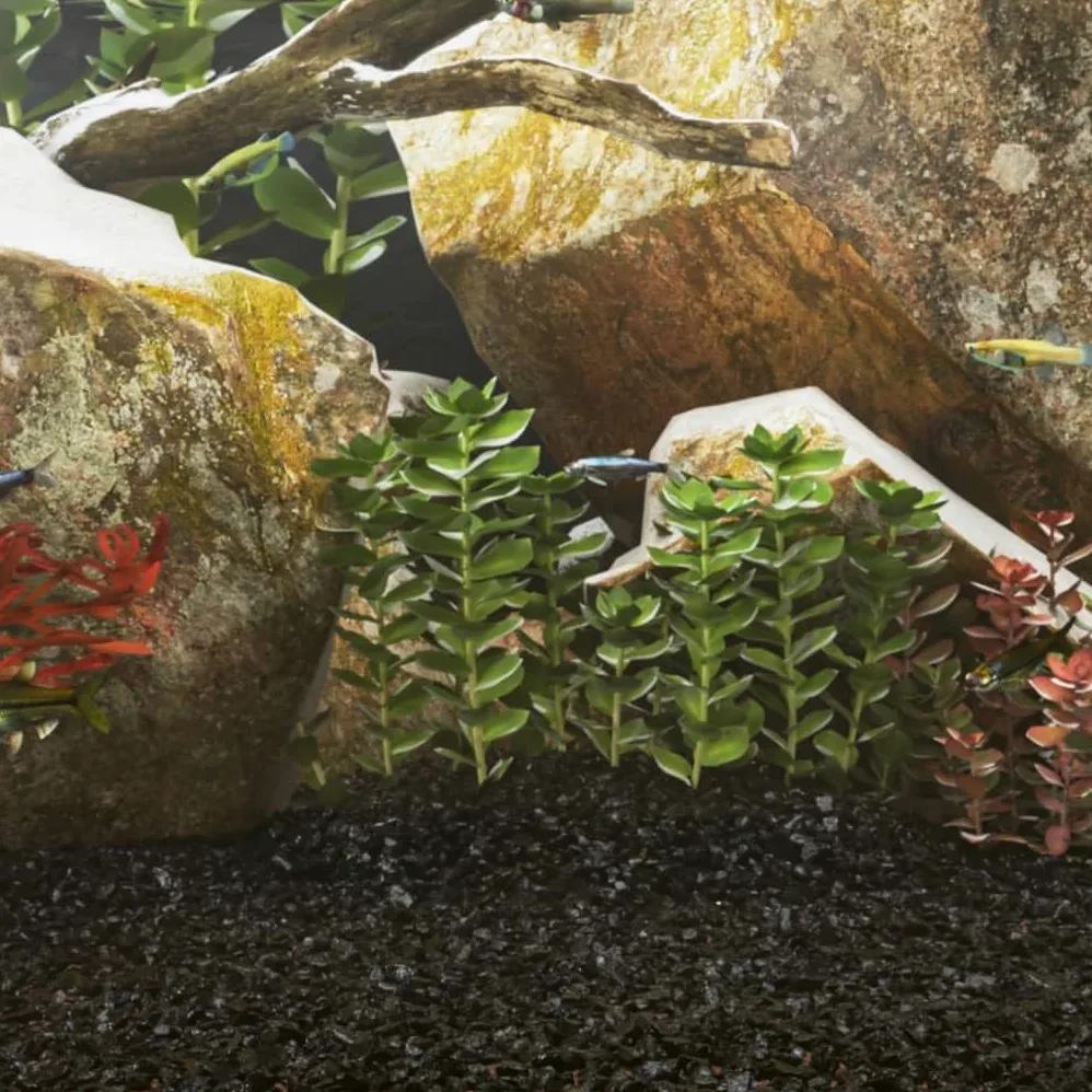 Sabbia nera per acquario, 10 kg, grana 0,2-2 mm, base naturale per acquari, acqua dolce, acqua di mare, nano bacini con terreno nutritivo per piante, radici e chiarificazione dell'acqua