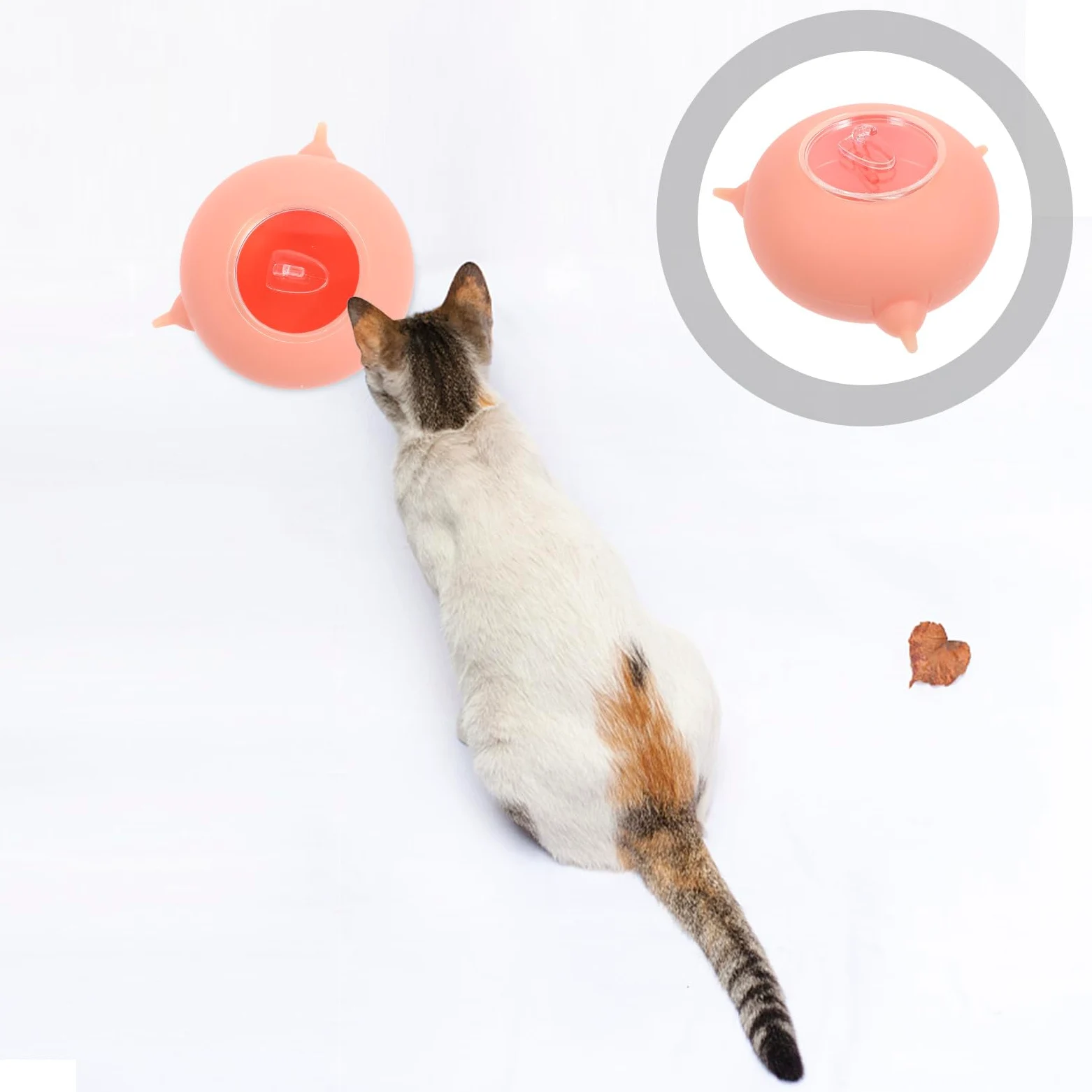 Alasum Biberon in Silicone per Cuccioli Piccoli Resistente Alte Temperature Non Si Deforma Strumento per Allattamento Animali Domestici per Addestramento