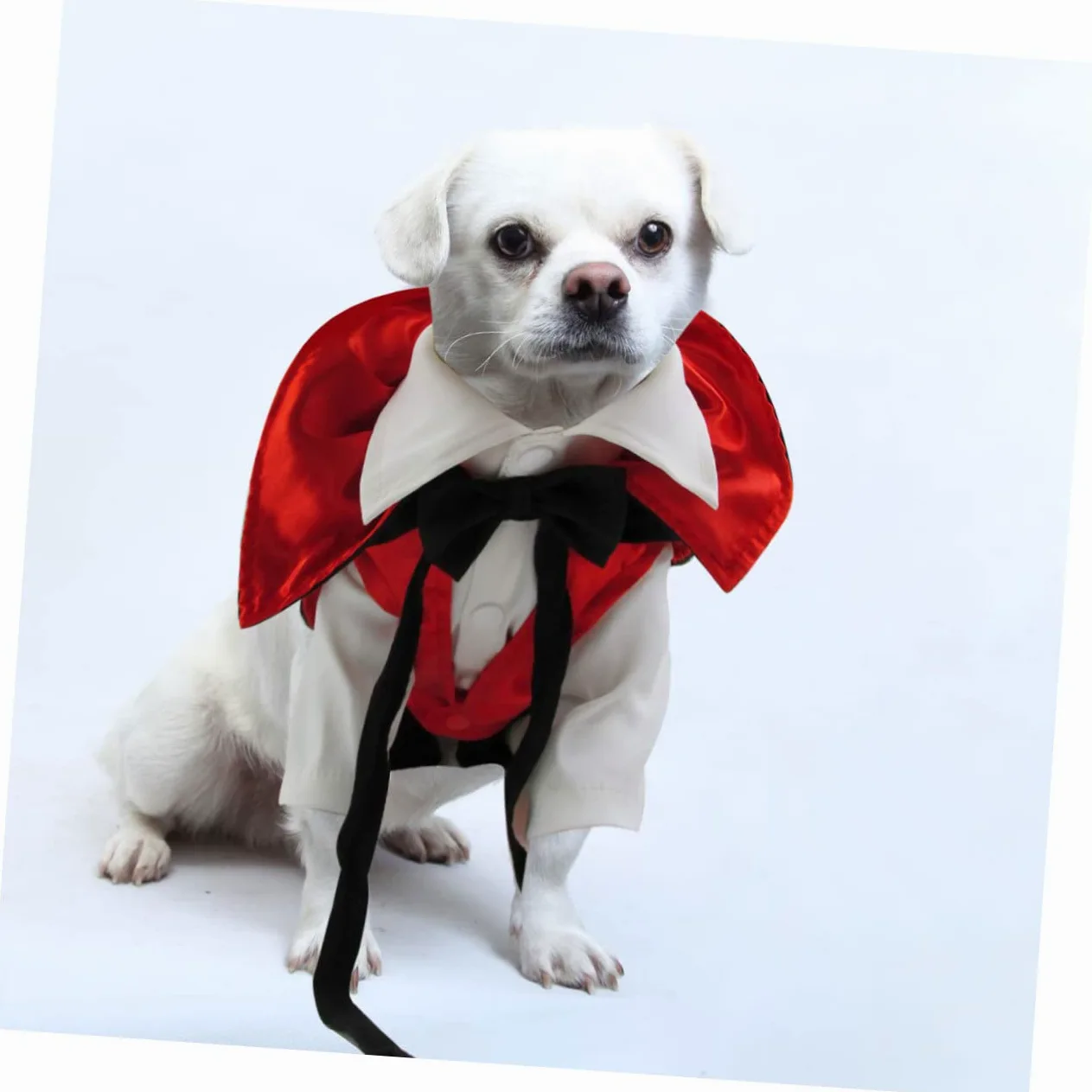 BESPORTBLE 2 Pezzi Costume Di Trasformazione Per Animali Domestici Vestiti Funky Costume Di Halloween Per Animali Domestici Da Sanguisuga Per Vestiti Per Cani Da Compagnia Forniture