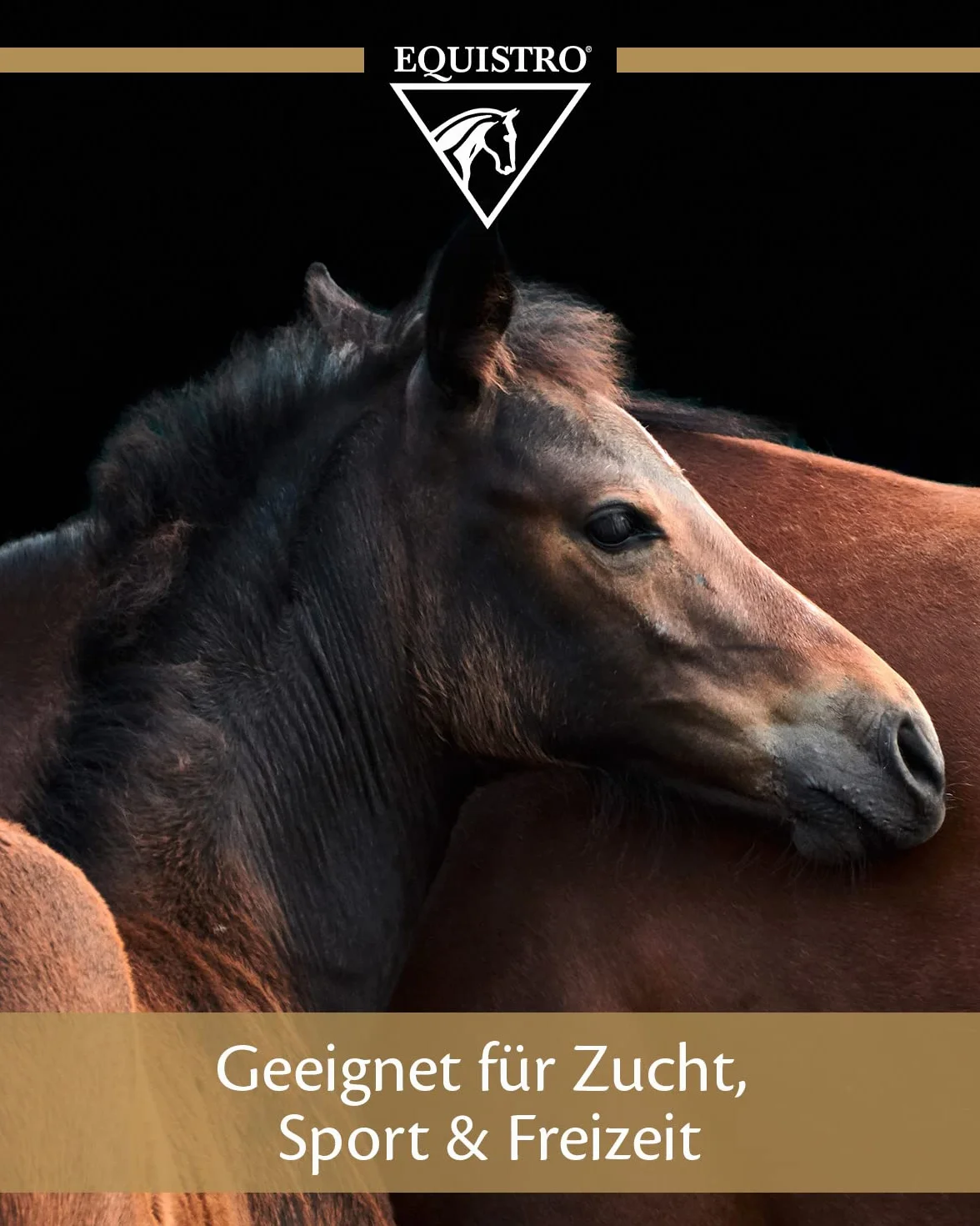 Equistro - Excell E liquido