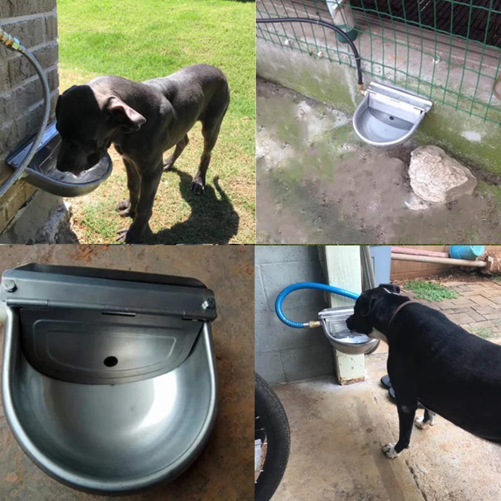 Ciotola Dell'Abbeveratoio Automatico in Acciaio Inox con Valvola a Sfera Regolabile, Abbeveratoio per Animali per Cavalli, Bovini, Capre, Pecore, Maiali e Cani