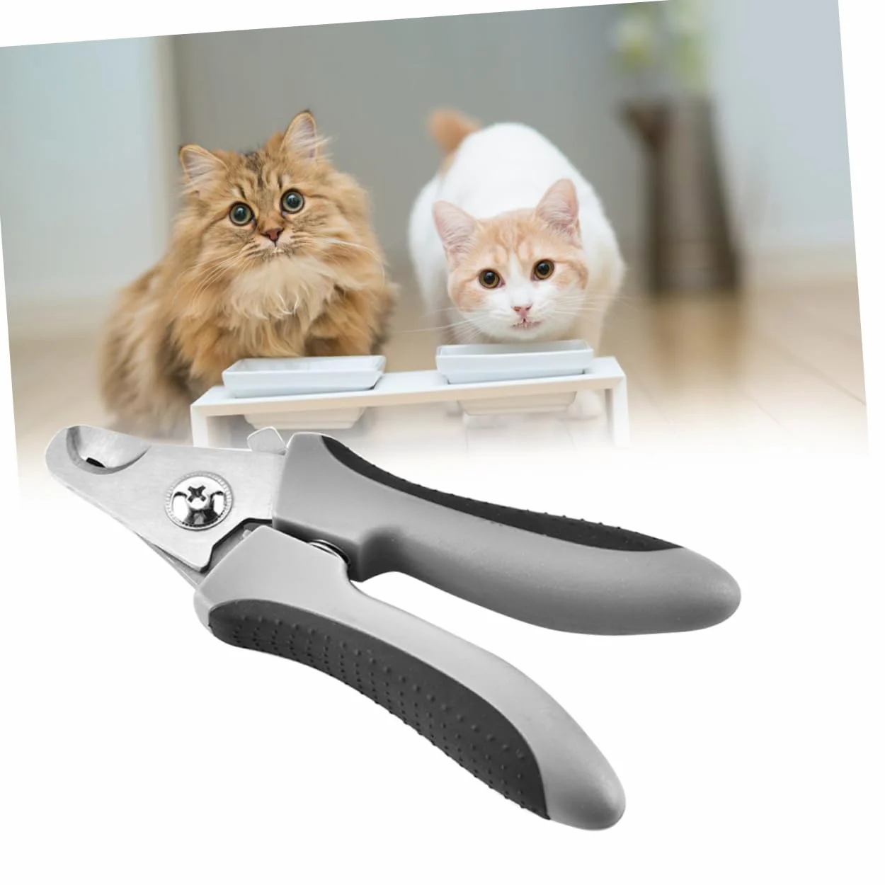 Sosoport 2pezzi per Unghie per Domestici Cesoie per Inossidabile Design Colore Casuale per Toelettatura e