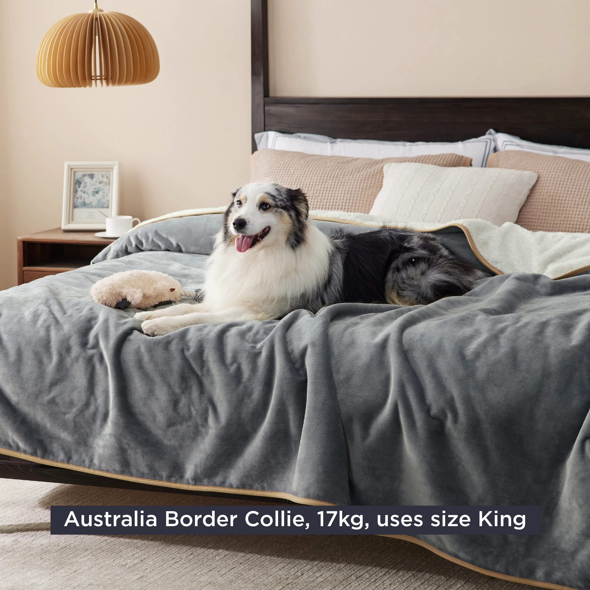 Lesure - Coperta impermeabile per cani grandi, 274x218 cm, lavabile, esterna, in pile, divano, grigio