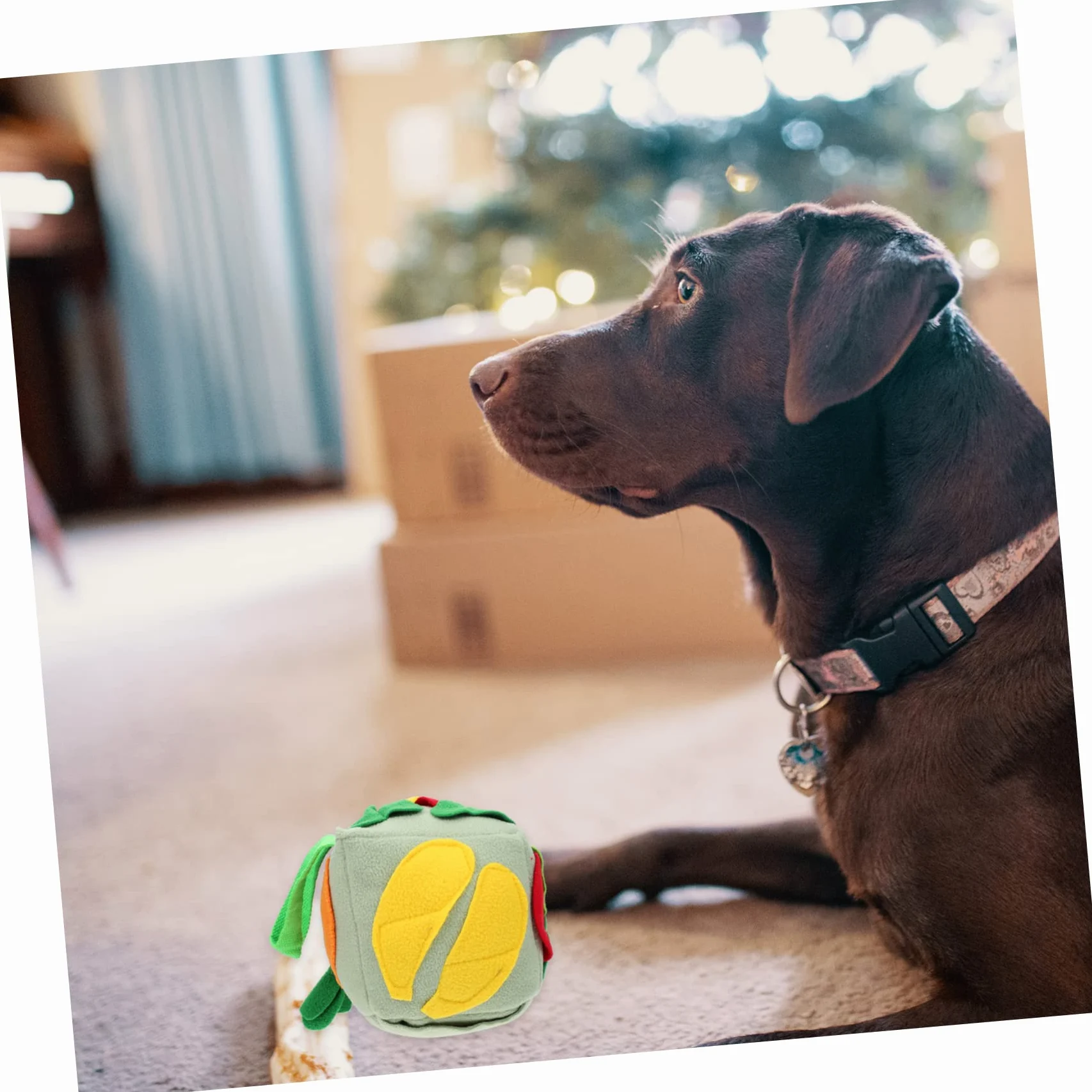 Housoutil 3pezzi Palla Per Cani Snuffle Giocattolo Per Foraging e Addestramento Mat Per Sniffing Con Dispersione Di Cibo Stimola Attività Fisica e Mentale Fresh