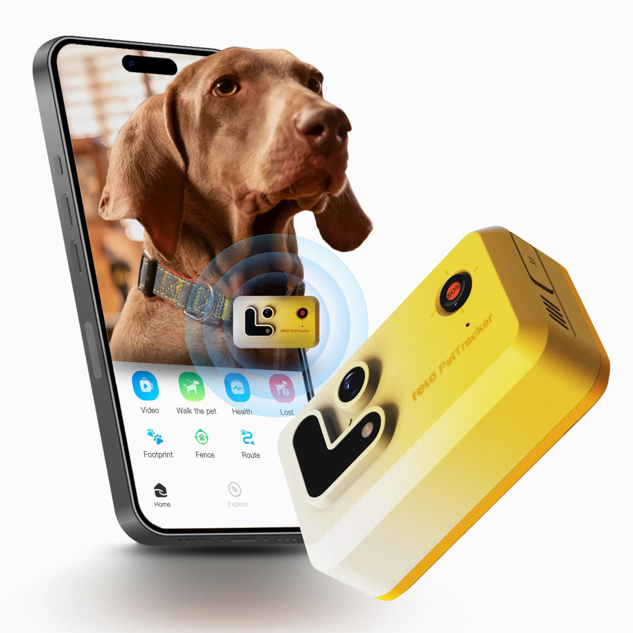 Enabot EBO ROLA PetTracker | GPS per Cani - Localizzatore per Cani con GPS - Tracker di attività - Colore Giallo