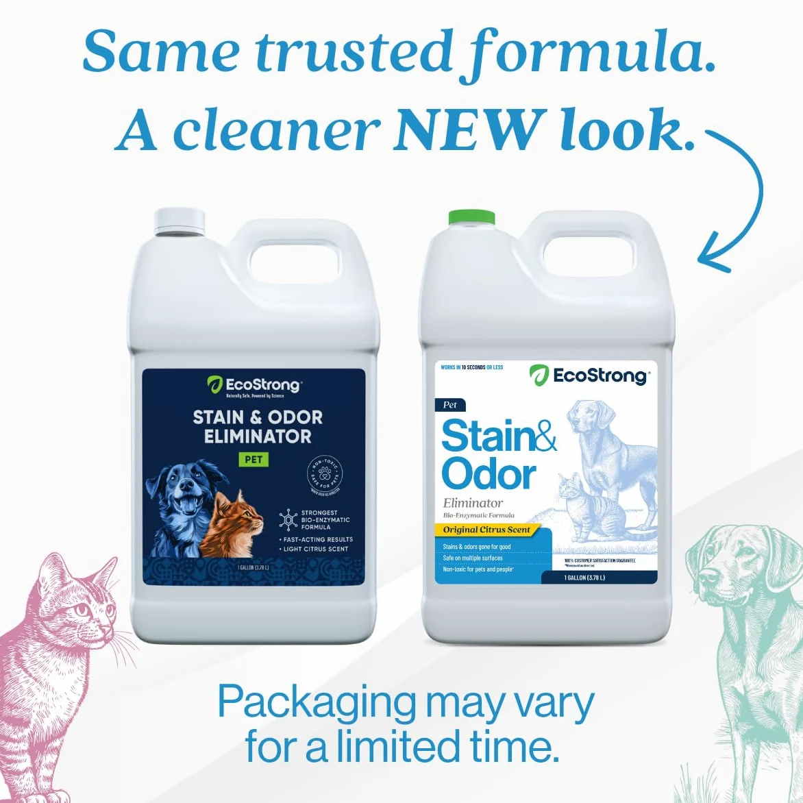 Eco Strong Smacchiatore e elimina gli odori: detergente per tappeti e odori di animali domestici, detergente enzimatico per urina di cani e gatti, smacchiatore e deodorante spray, per pavimenti, erba