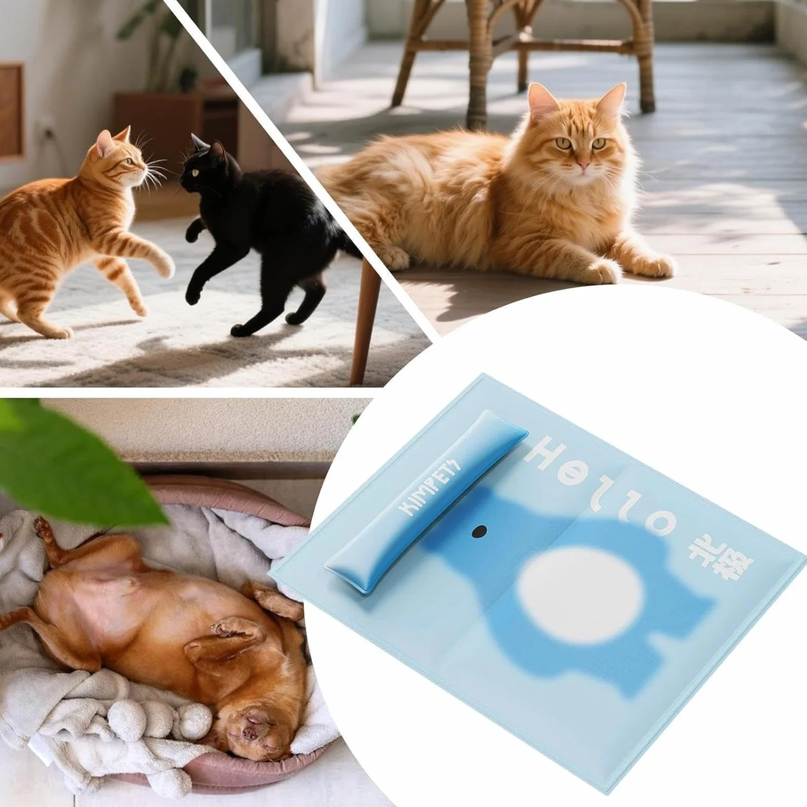 Generico Tappetino rinfrescante canino Con Cuscino Per Il Collo E Lavabile | Tappetino Rinfrescante Cani Interno Esterno Adatto A Cuccioli Gatti Casa Campeggio Spiaggia Viaggio