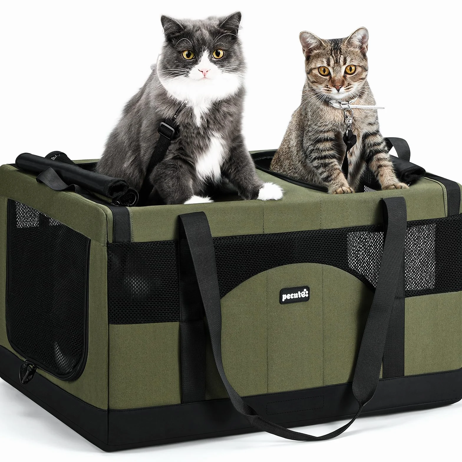 Pecute Trasportino per gatti a doppio scomparto, borsa per il trasporto di gatti ultra stabile, borsa da viaggio traspirante per gatti, traslochi e visite dal veterinario, Verde