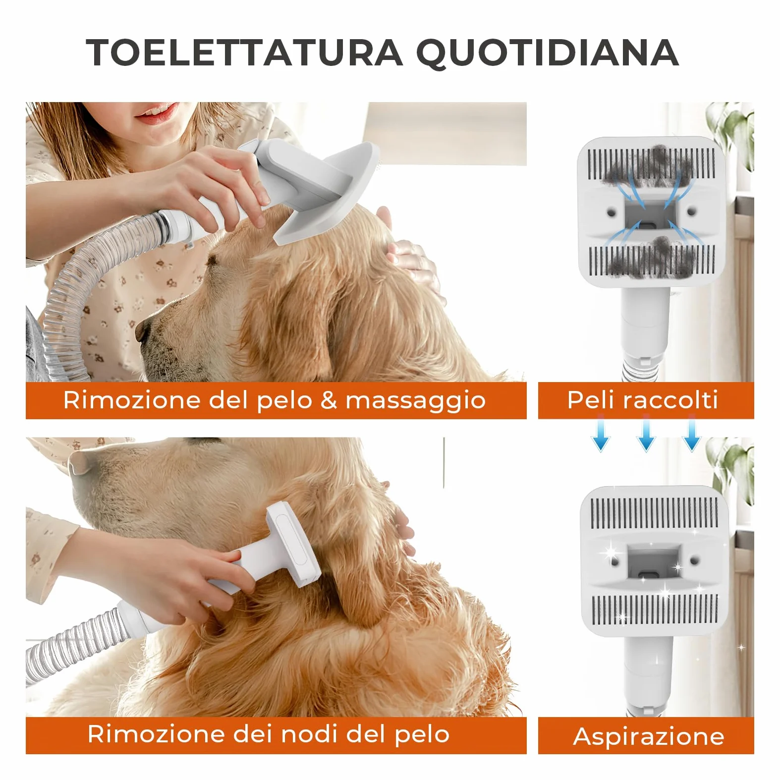 CAREPET Kit Toelettatura Asciugatura e Aspira peli Cane e gatto Per Animali Domestici - Tosatrice per Cani e Gatto Pelo Lungo Professionale - Strumenti per la toelettatura Depilazione Aspira peli