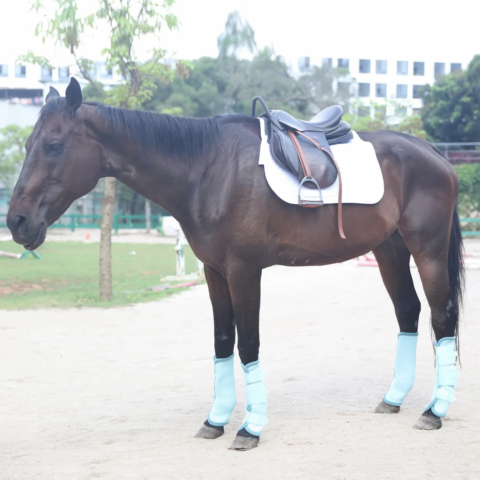 Set di 4 stivali da mosca per cavalli, traspiranti e comodi, leggings per cavalli in rete riducono il calpestio, lo stress degli zoccoli e l'affaticamento delle gambe, SkyBlue Pony