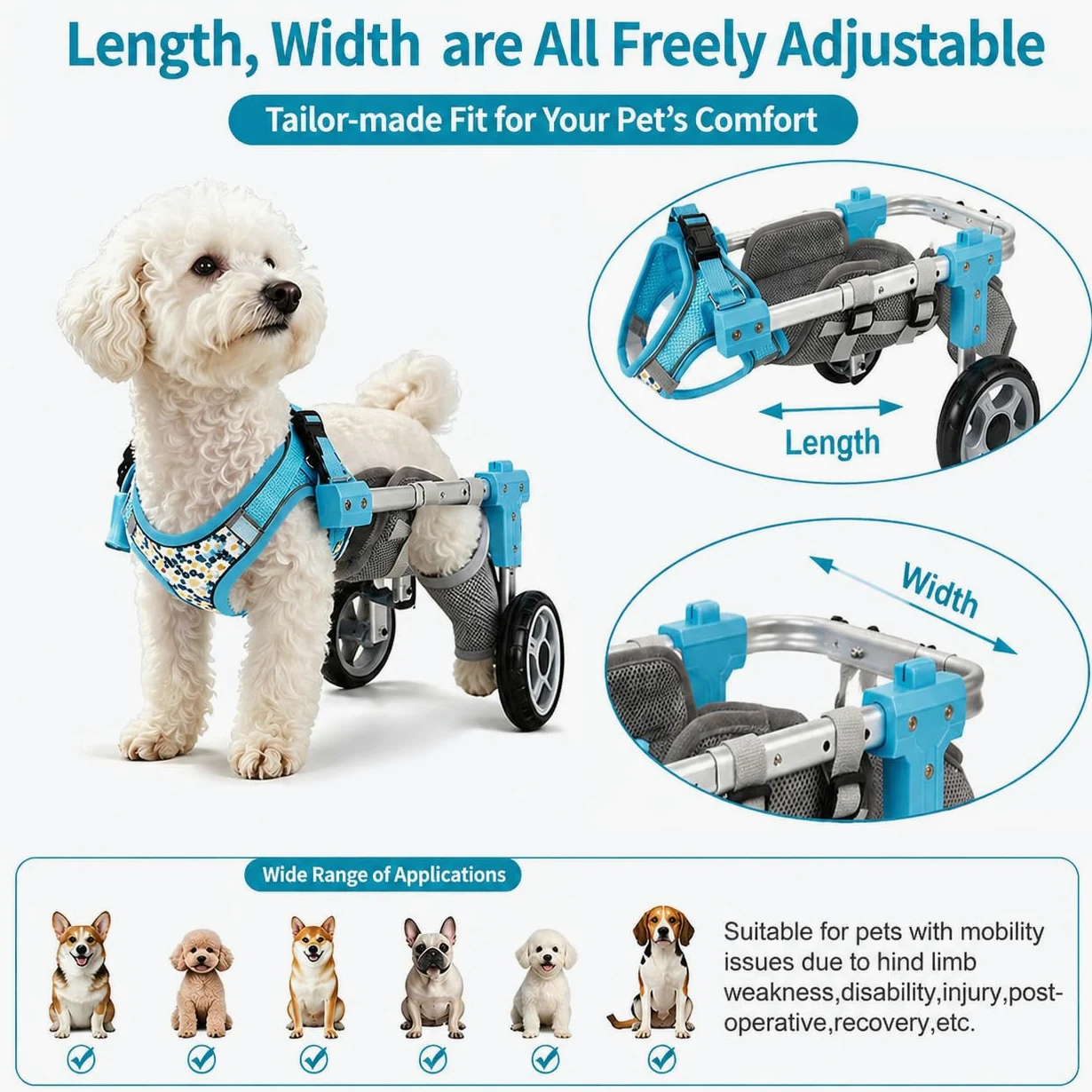 Carrellino per Cani, Supporto Zampe Posteriori, Ausilio Mobilità Regolabile Black-M | Con Supporto per Zampe Posteriori E Addome, Ideale per Cani E Gatti Con Lesioni O Problemi Di Mobilità