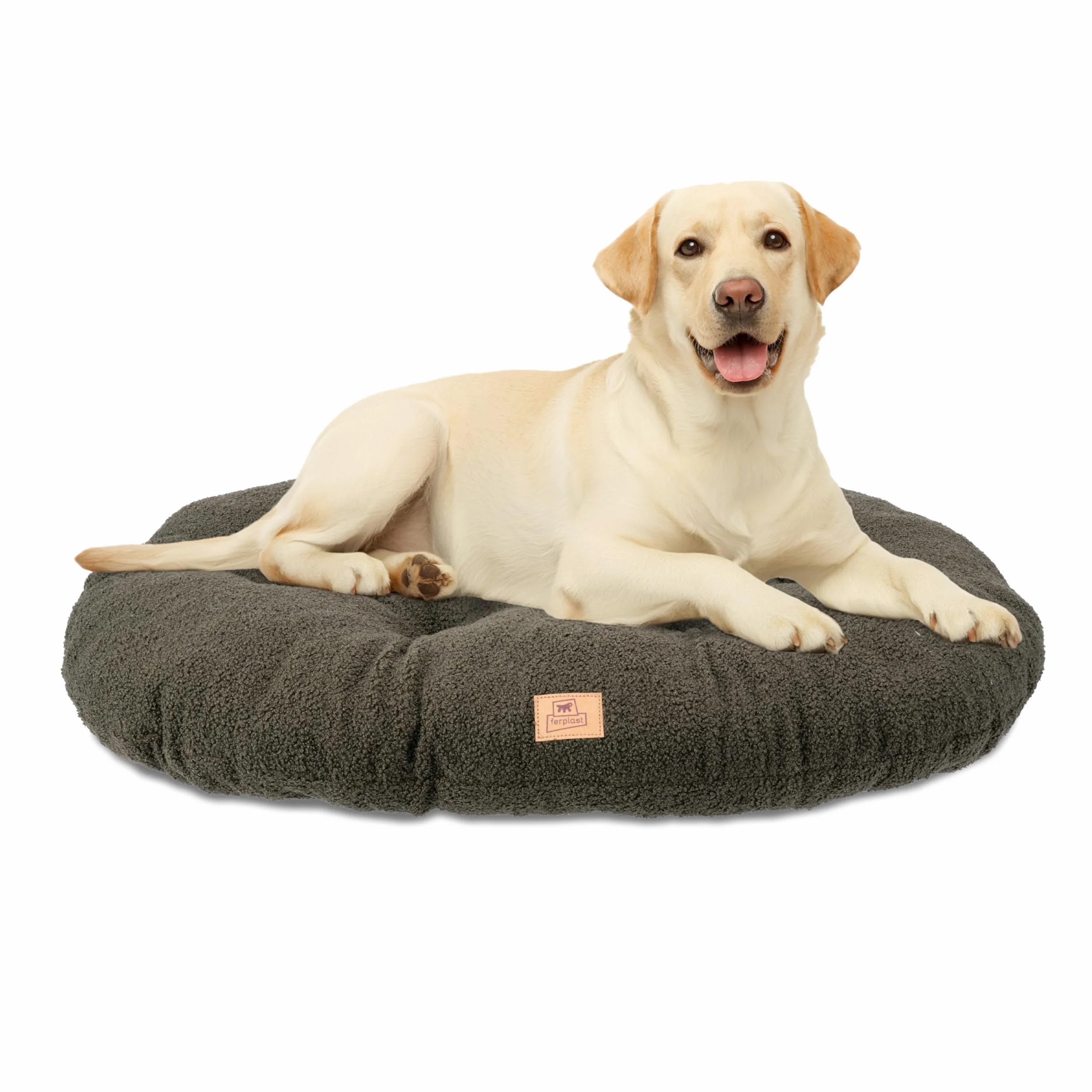Ferplast Cuccia Cane Cuscino per Cani grandi, Cuccia Gatto, Tessuto Lavabile in Bouclé Sintetico, Imbottitura Soffice, 85 x 55 x h 5 cm. Verde