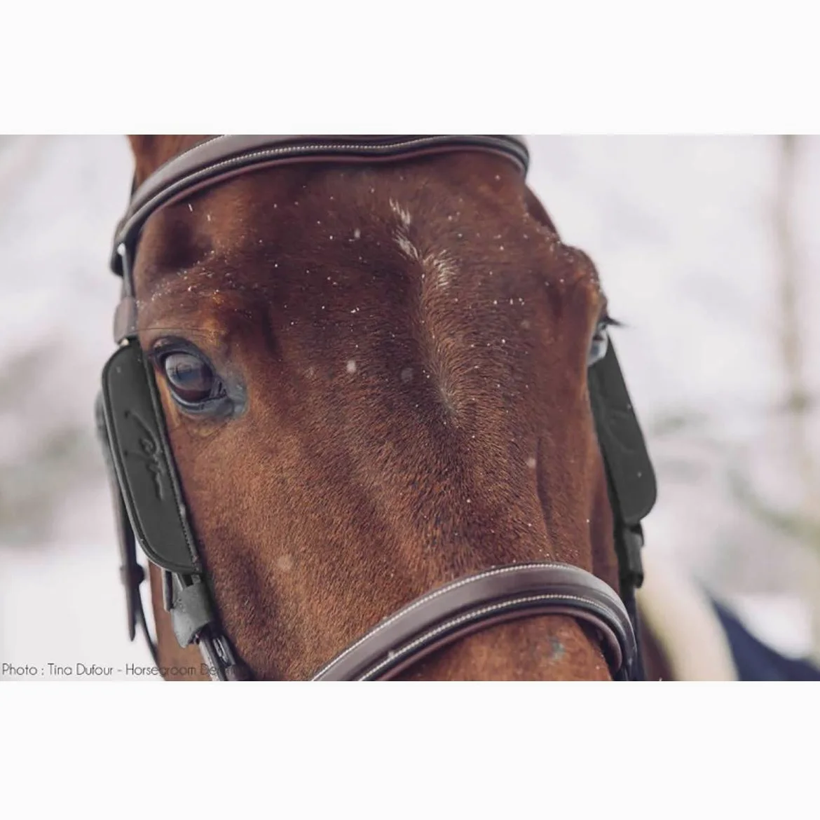 Dy'on Blinkers Brown in Size: Full (EU). - Marrone - Full