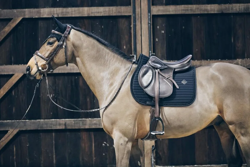 Kentucky Sottosella Perle Show Jumping - Dimensione JUMP FULL
