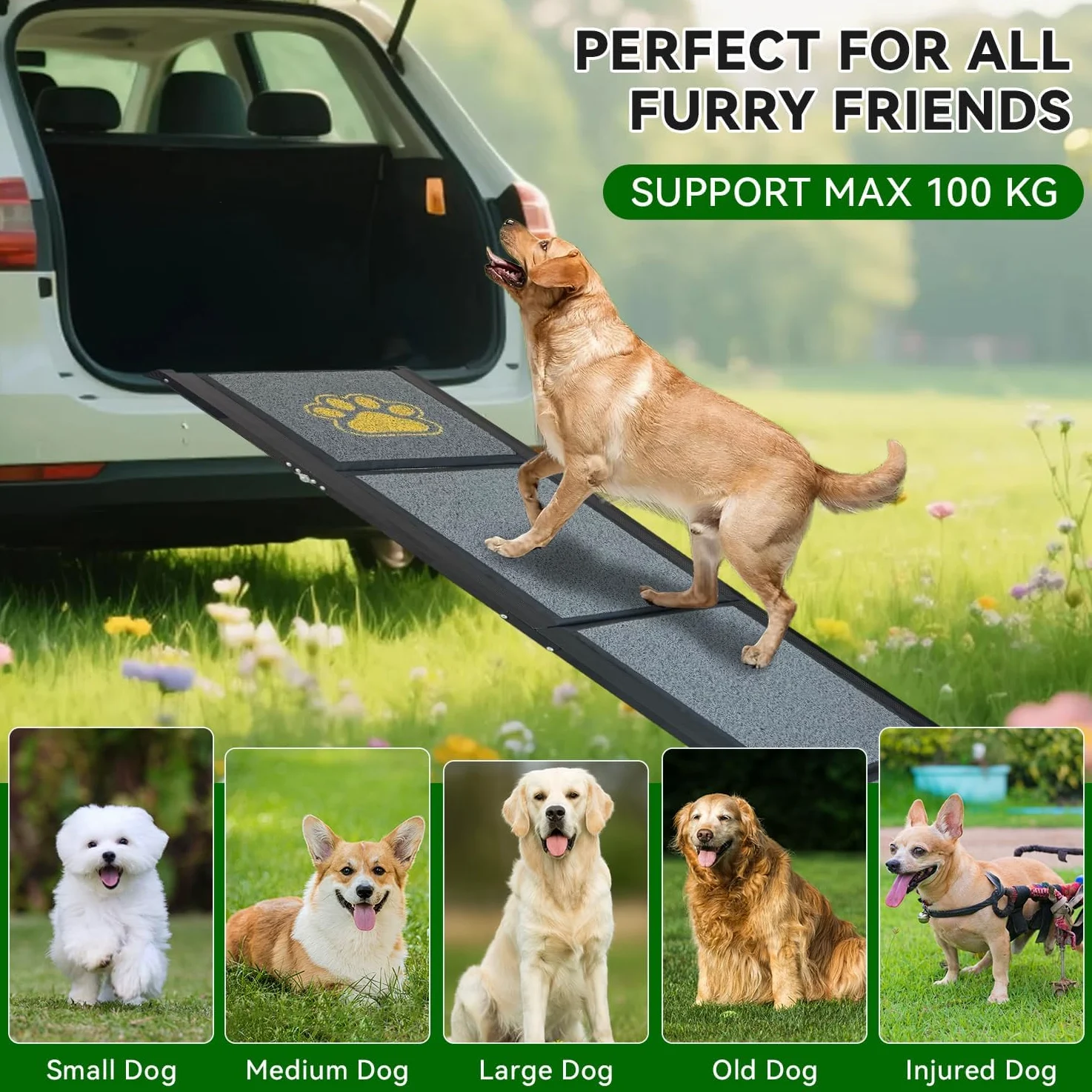 Rampa per cani da auto, pieghevole, 170 x 44 cm, colore grigio, con superficie antiscivolo, fino a 70 kg, leggera in alluminio, per auto, camion, SUV e scale all'aperto