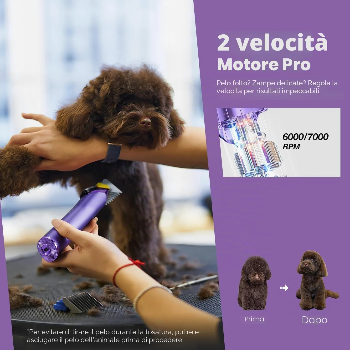 Tosatrice per cani professionale con lama di ricambio, kit per la toelettatura degli animali domestici senza fili con lama regolabile 5 in 1, rifinitore ricaricabile a 2 velocità
