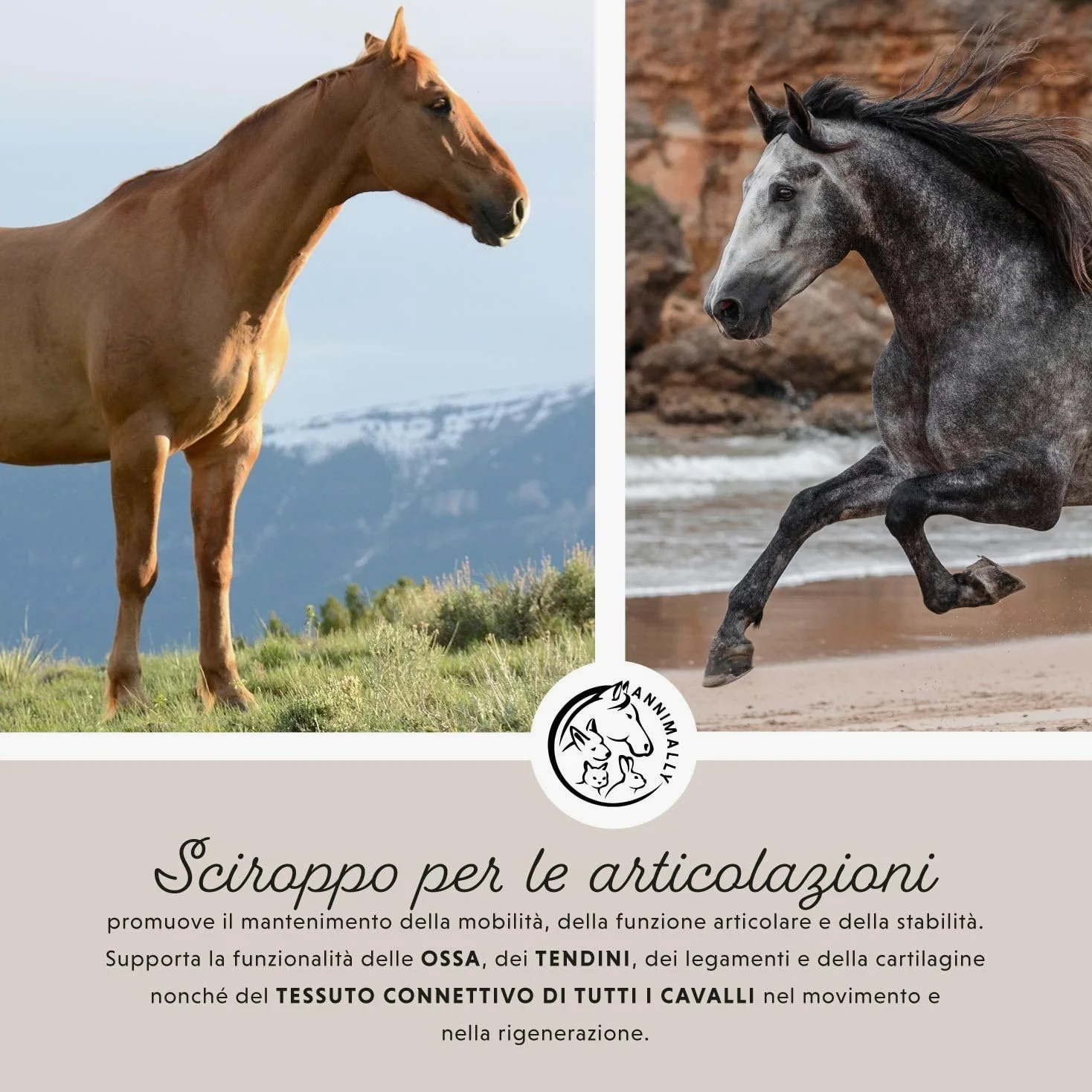 Liquido articolazioni per cavalli 1000ml con artiglio del diavolo cavallo, glucosamina e MSM cavallo (zolfo) liquido- Per il rafforzamento delle articolazioni del cavallo- msm integratore per cavalli