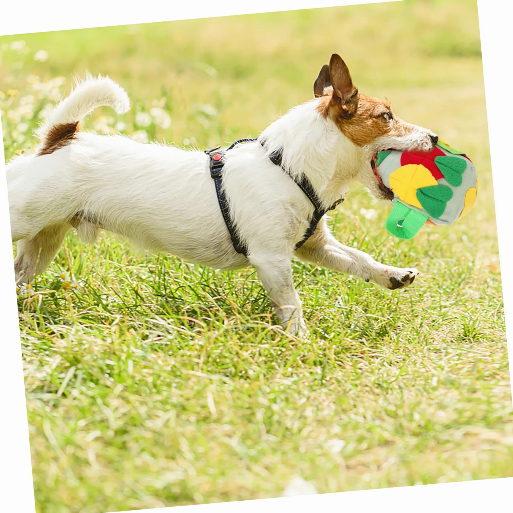 Housoutil 3pezzi Palla Per Cani Snuffle Giocattolo Per Foraging e Addestramento Mat Per Sniffing Con Dispersione Di Cibo Stimola Attività Fisica e Mentale Fresh