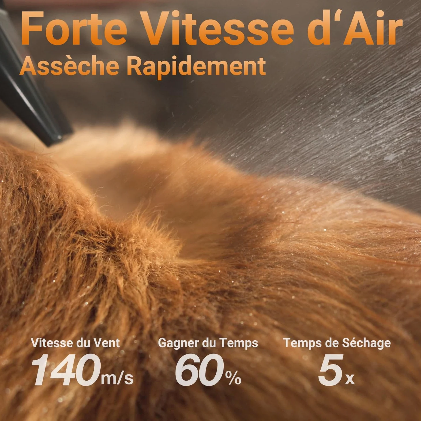 LIGIANT P40 Asciugacapelli per Cani Blower, Ultra Silenzioso (40 Db modalità Gatto), 3 Bocchette in 1, velocità & Temperatura Regolabili, Tecnologia a Ioni Negativi, Compatto e per Cani e Gatti