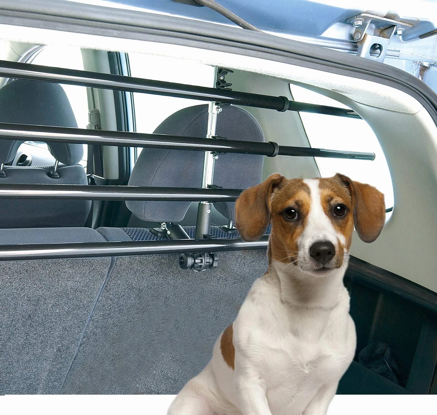 Camon - Griglia di protezione auto Walky Barrier, per cani, in metallo/ferro, 141 x 37 cm, colore: Nero