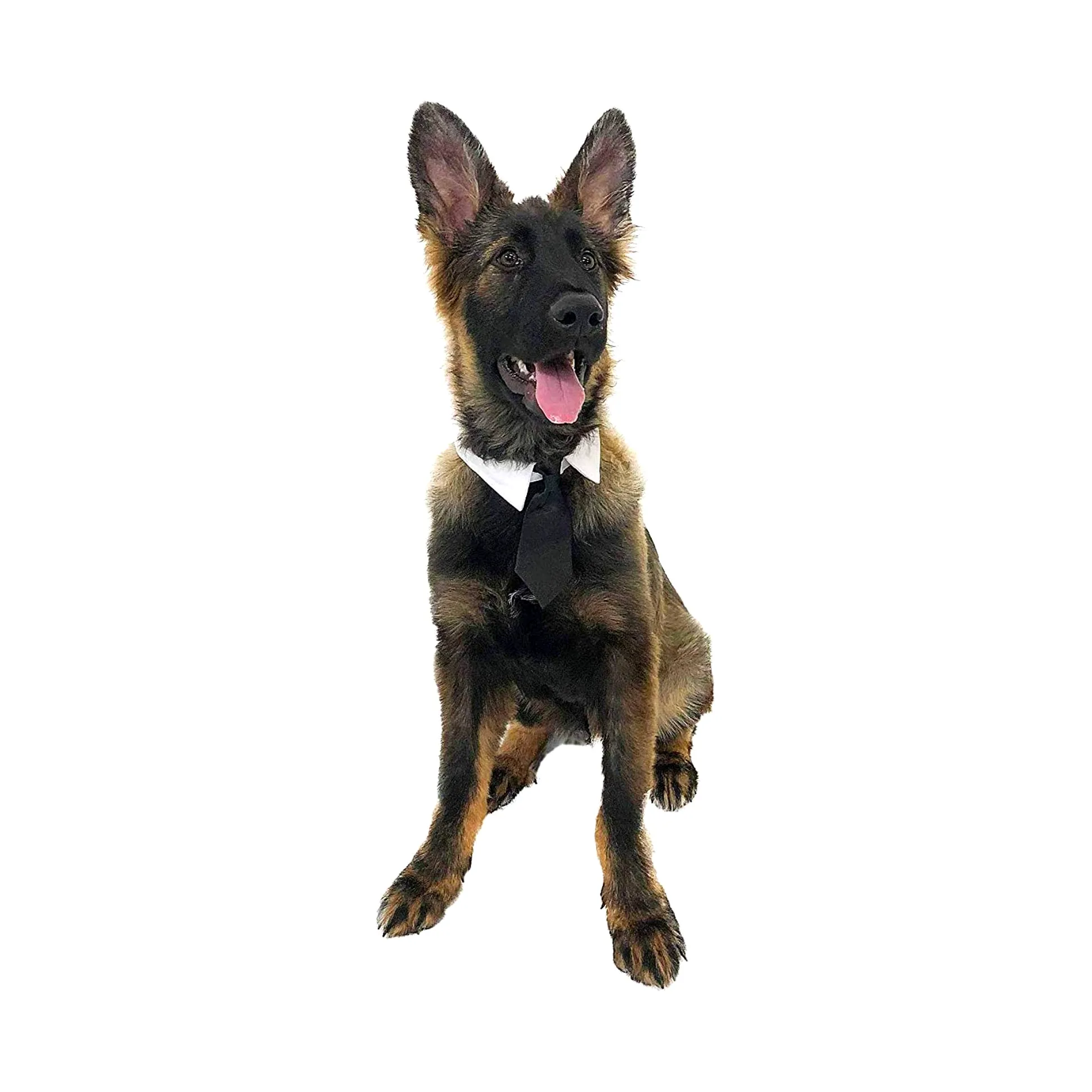 Midlee Cravatta per cani formale nera con collo da 48,3-58,4 cm (XL)