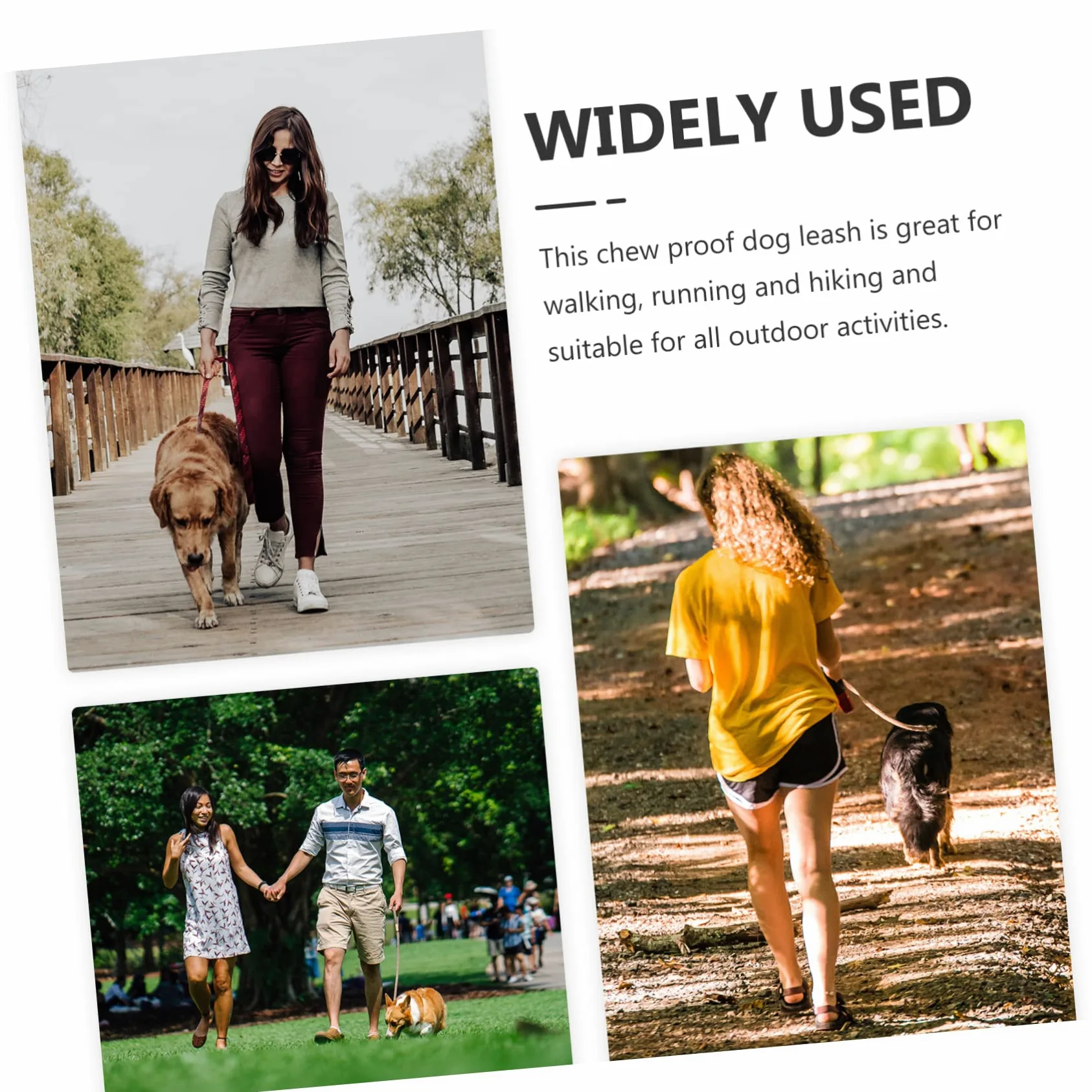 INOOMP 4pezzi Guinzaglio Per Cani Acciaio Inossidabile Resistente Ai Morsi Per Passeggiate e Attività All Aperto Design Elegante e Leggero