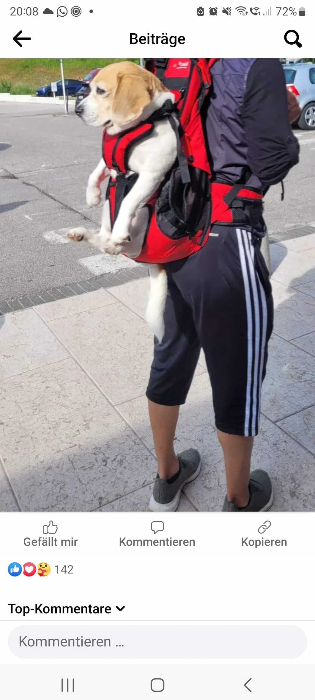 Dog Carrier - Zaino per cani da 9 a 18 kg