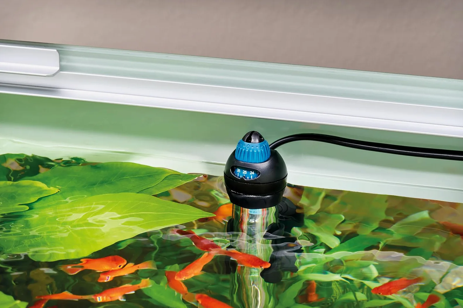Oase HeatUp 100 - Riscaldatore per Acquario, riscaldatore per acquari d'Acqua Dolce e Marina con termometro, 100 W