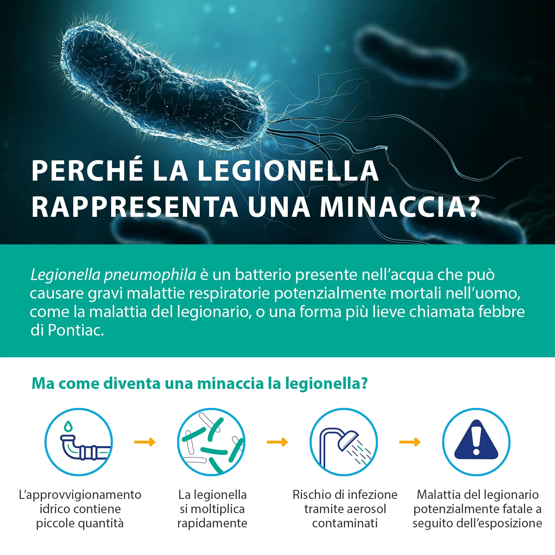 ONE Multi Legionella Water Test – Kit test singolo per il rilevamento della legionella pneumophila sg1 | Limite di rilevamento 1000 CFU/L | Facile test in loco