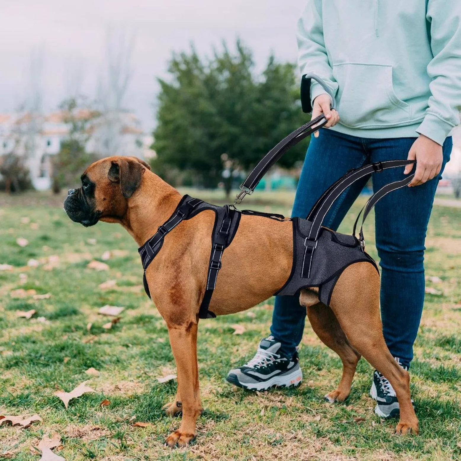 Imbracatura di Sollevamento per Cani Cinghie A Imbracatura Regolabili | Gilet assistenza mobilità cani con maniglia Cinghie per Recupero Addestramento Riabilitazione Cani Anziani Disabili Feriti