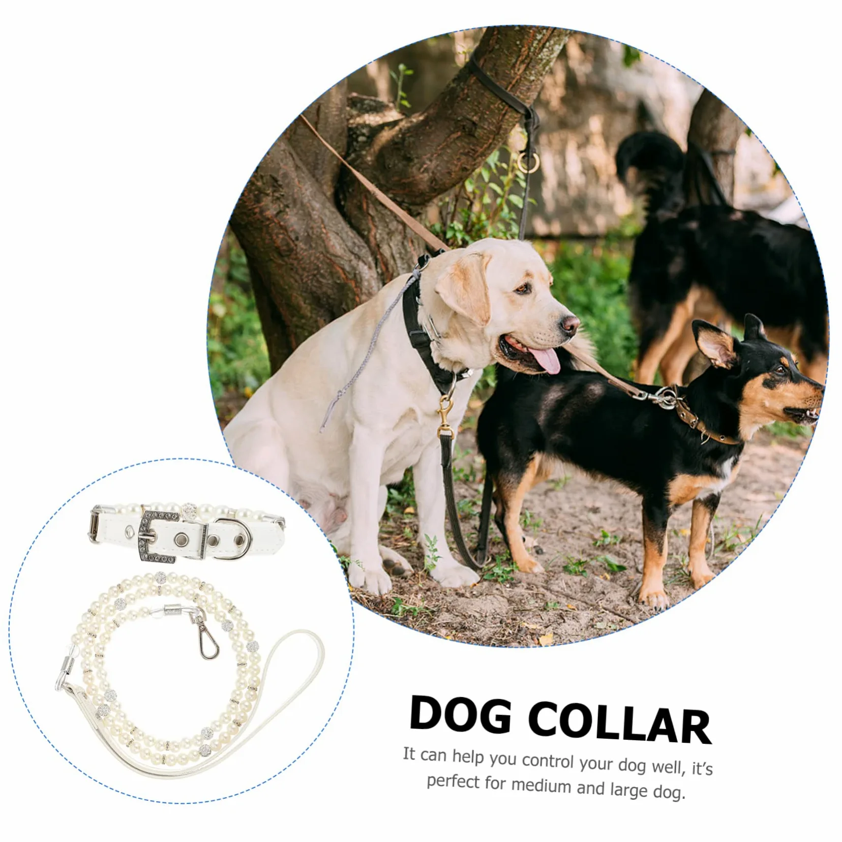 Collare e Guinzaglio per Cani Regolabile 2 Pezzi in Pu Bianco | Cucciolo, per Passeggiate All’aperto e Feste, Perle Finte, Facile da Indossare e Togliere
