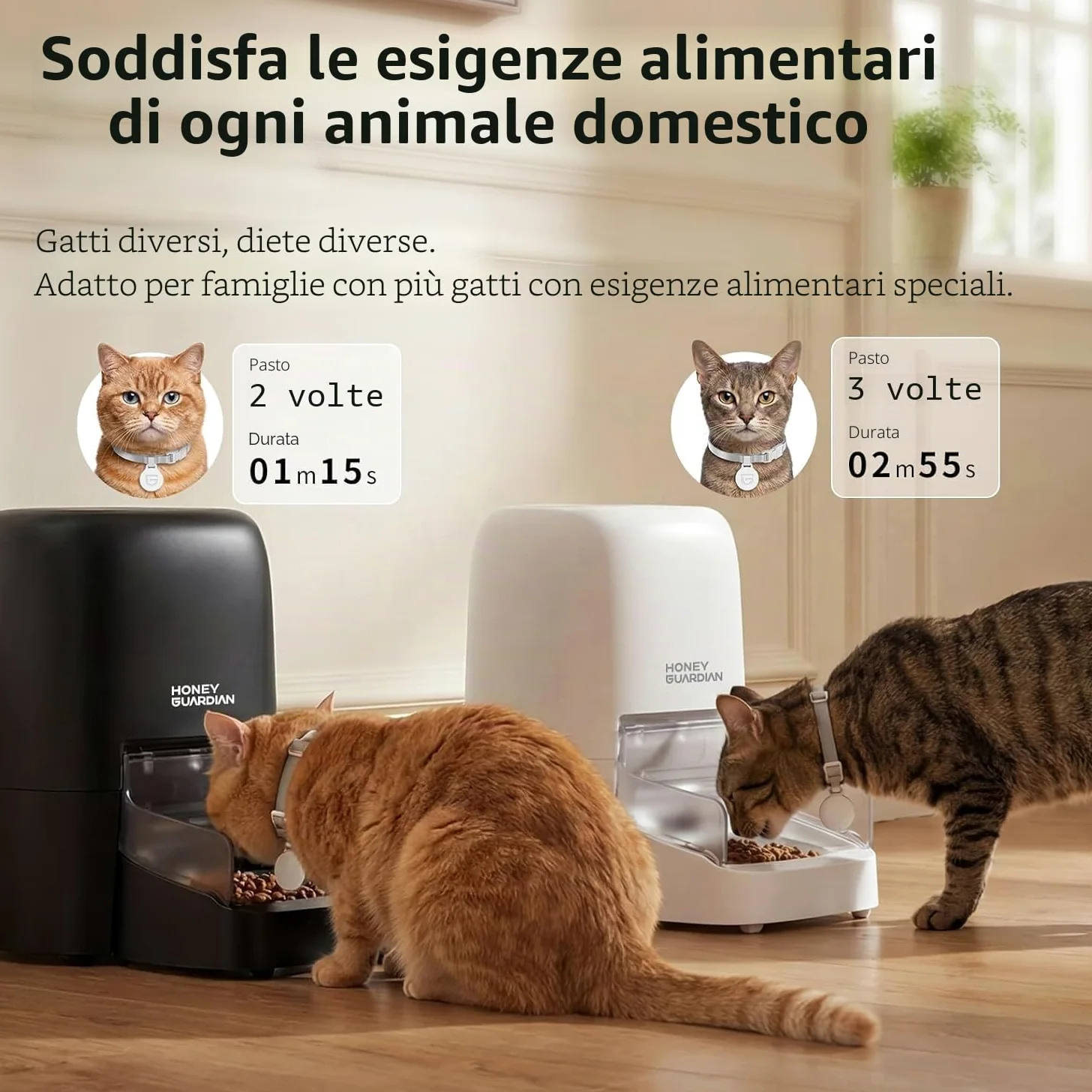 HoneyGuaridan 4.6L RFID Dispenser Crocchette Gatto con WiFi 5G e Antifurto | Distributore Automatico Cibo Gatti con Collare, Nutrizione su Misura, Monitoraggio Dietetico, Antifurto, Ciotola in Ceramica